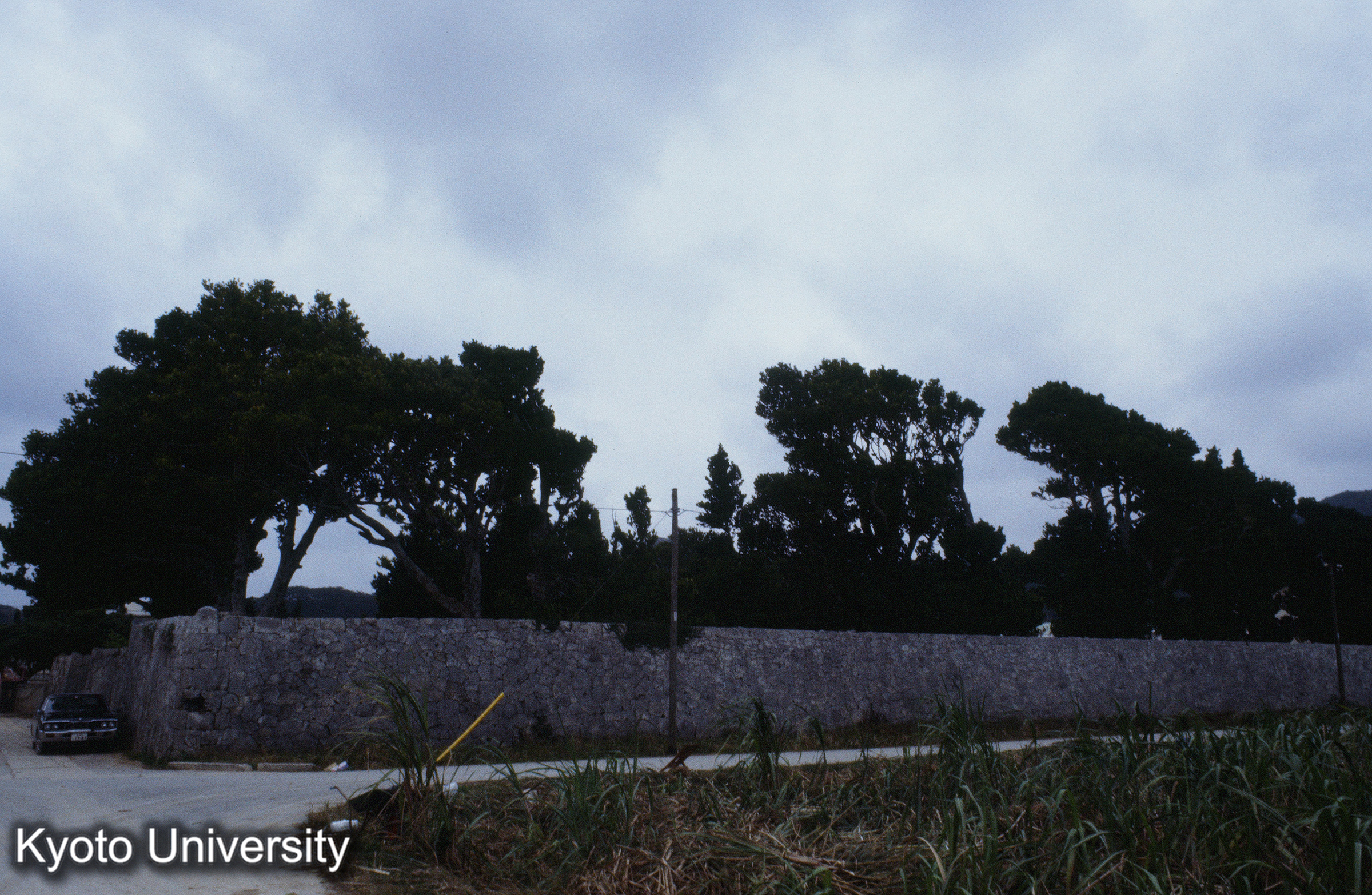 ［スライド］ (1)