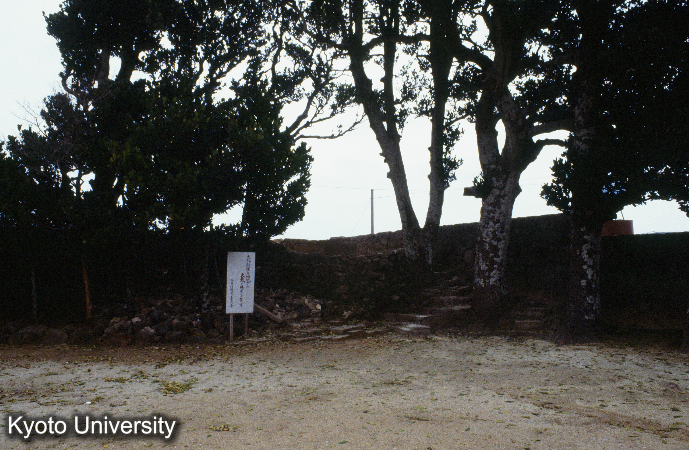 ［スライド］ (1)