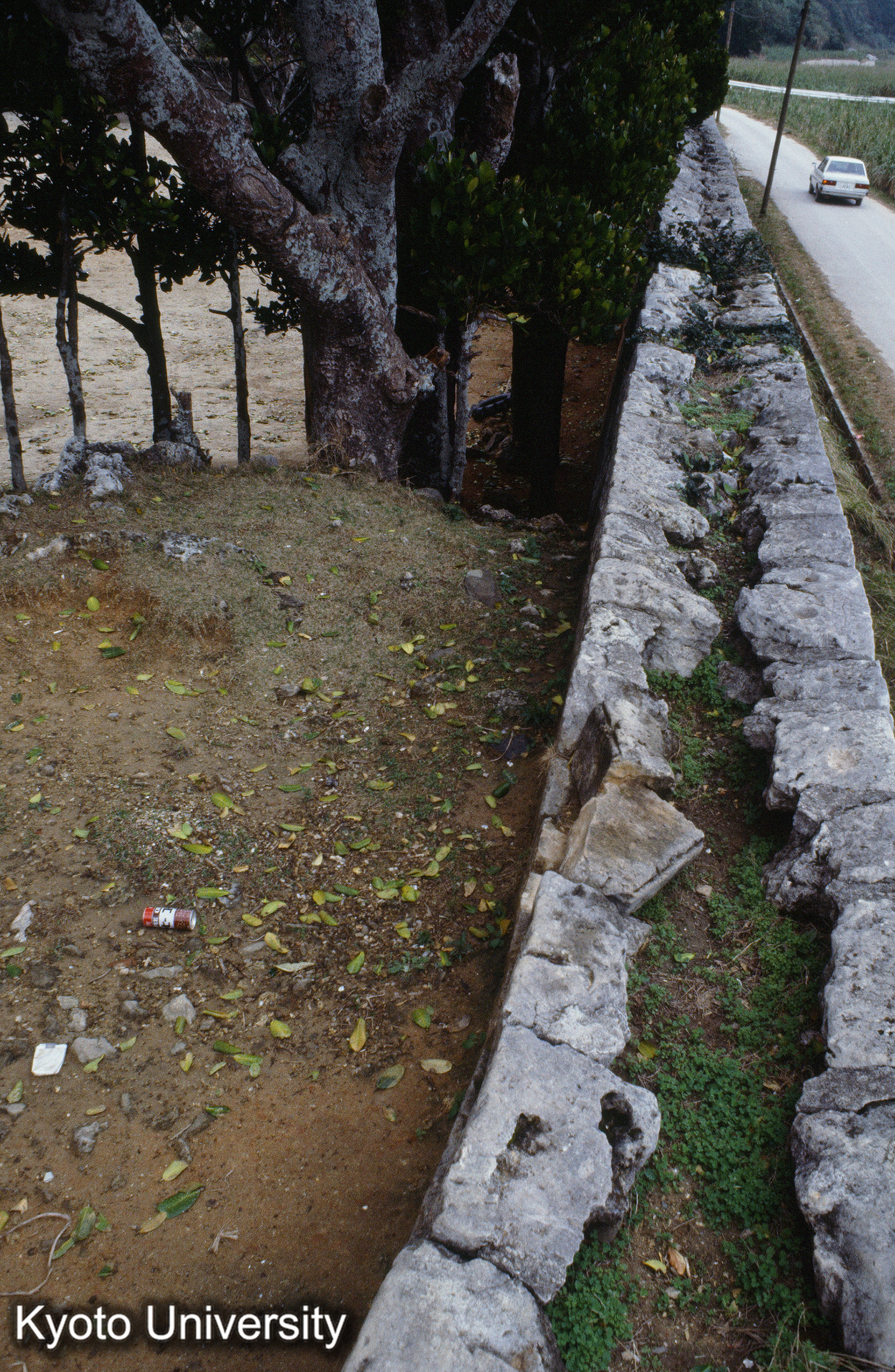 ［スライド］ (1)