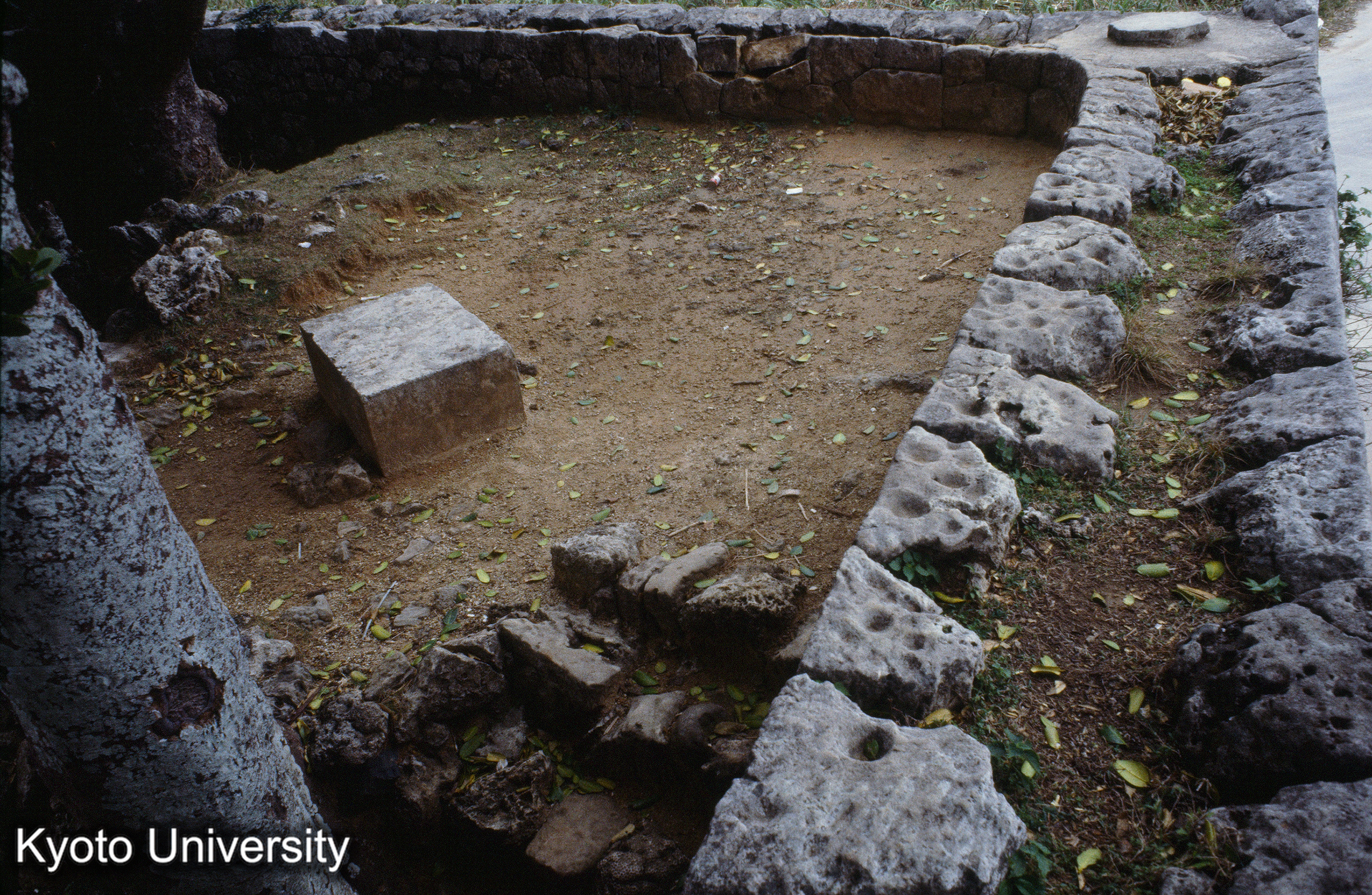 ［スライド］ (1)