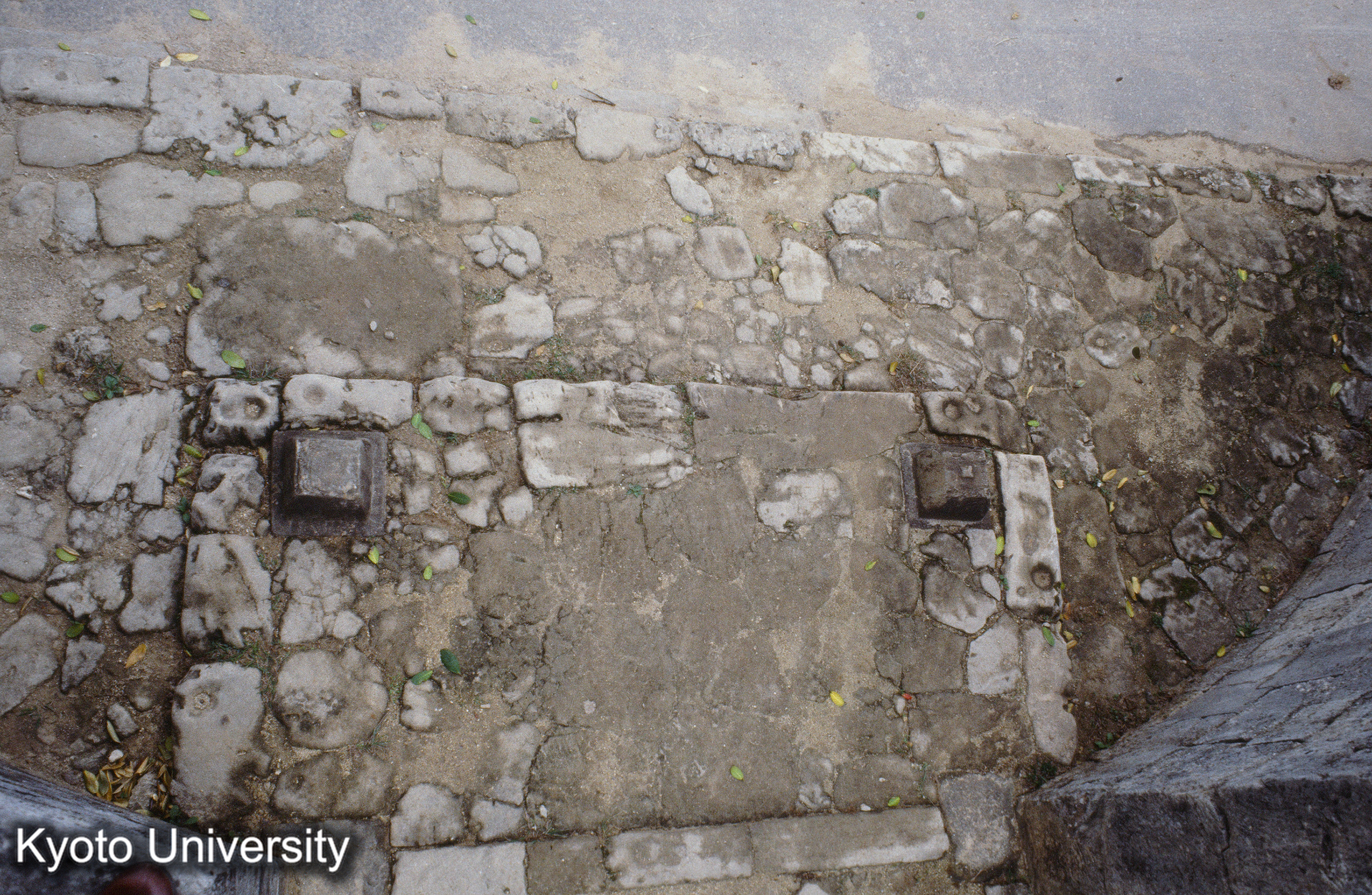 ［スライド］ (1)