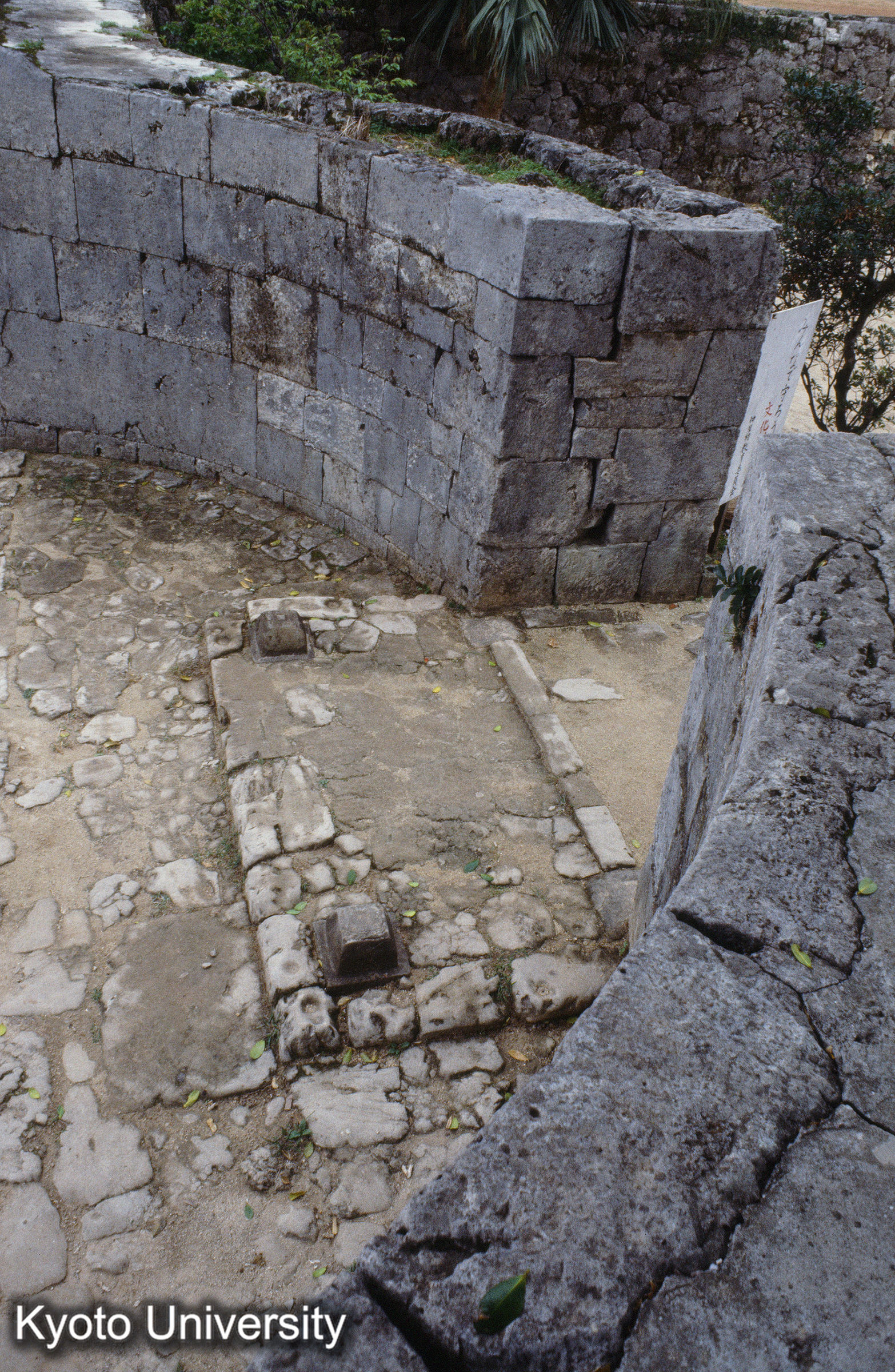 ［スライド］ (1)