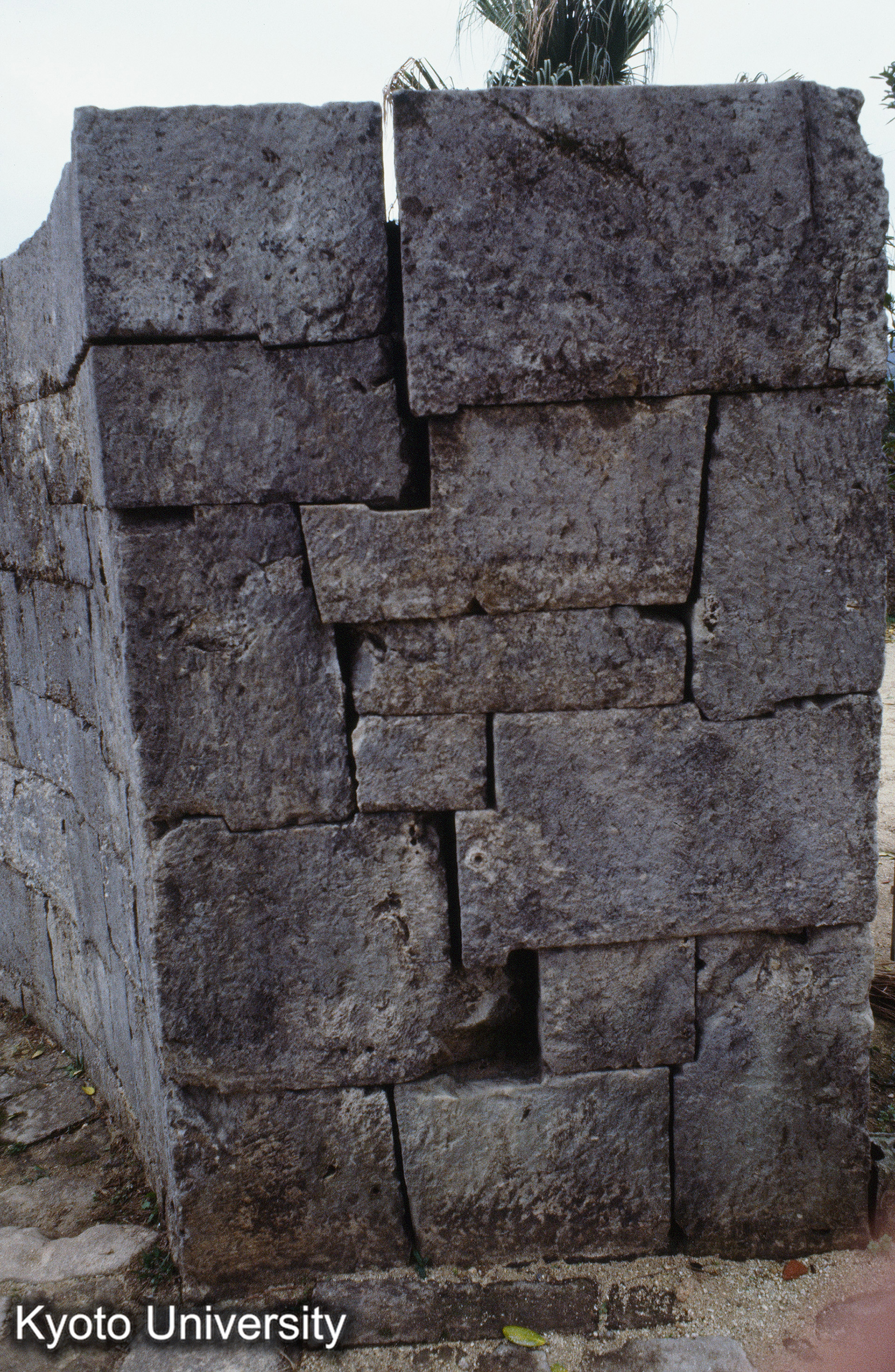 ［スライド］ (1)