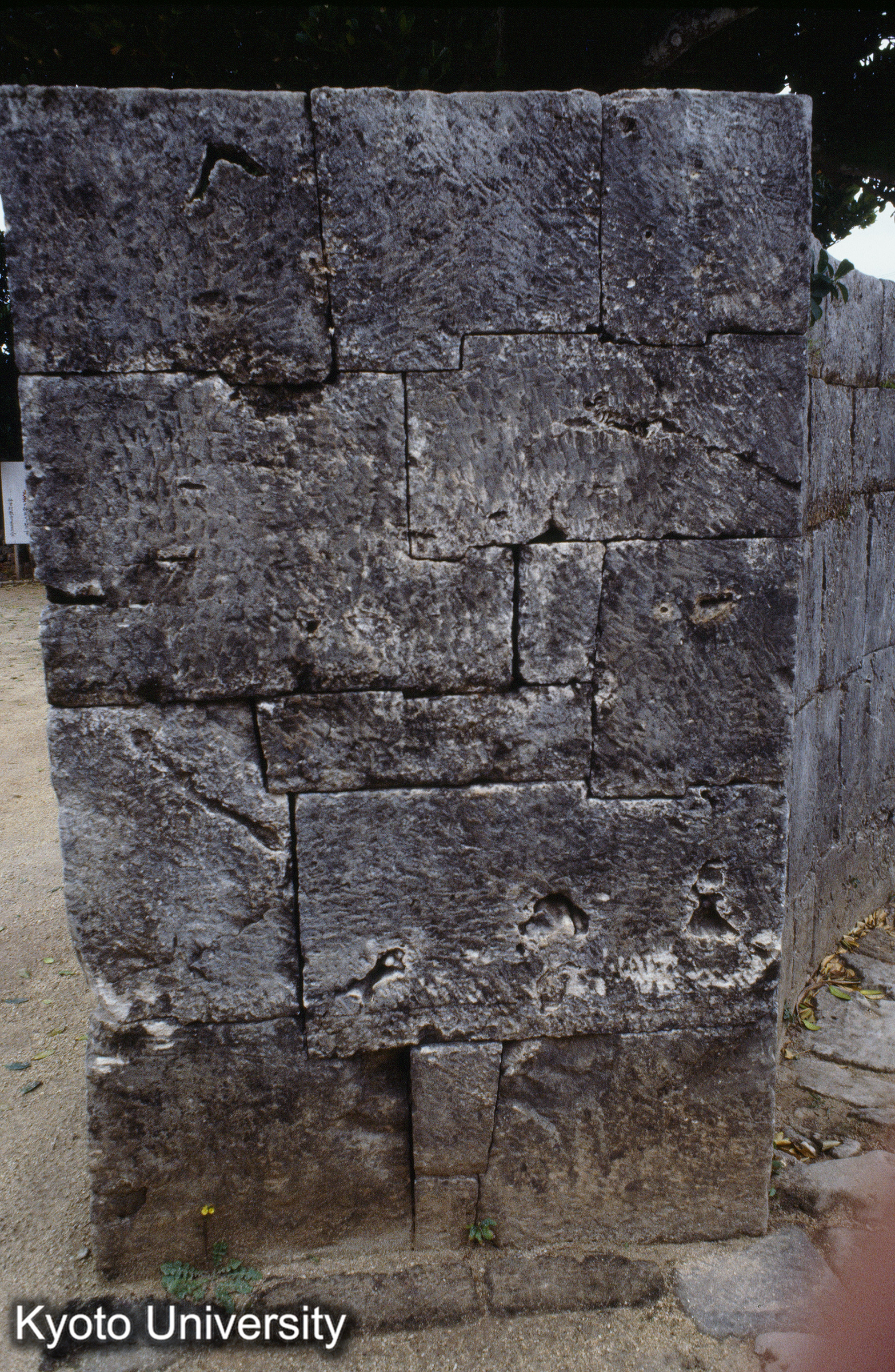 ［スライド］ (1)