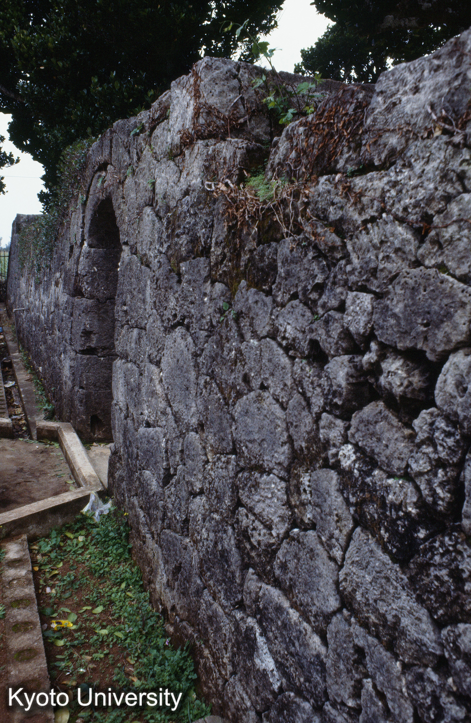 ［スライド］ (1)