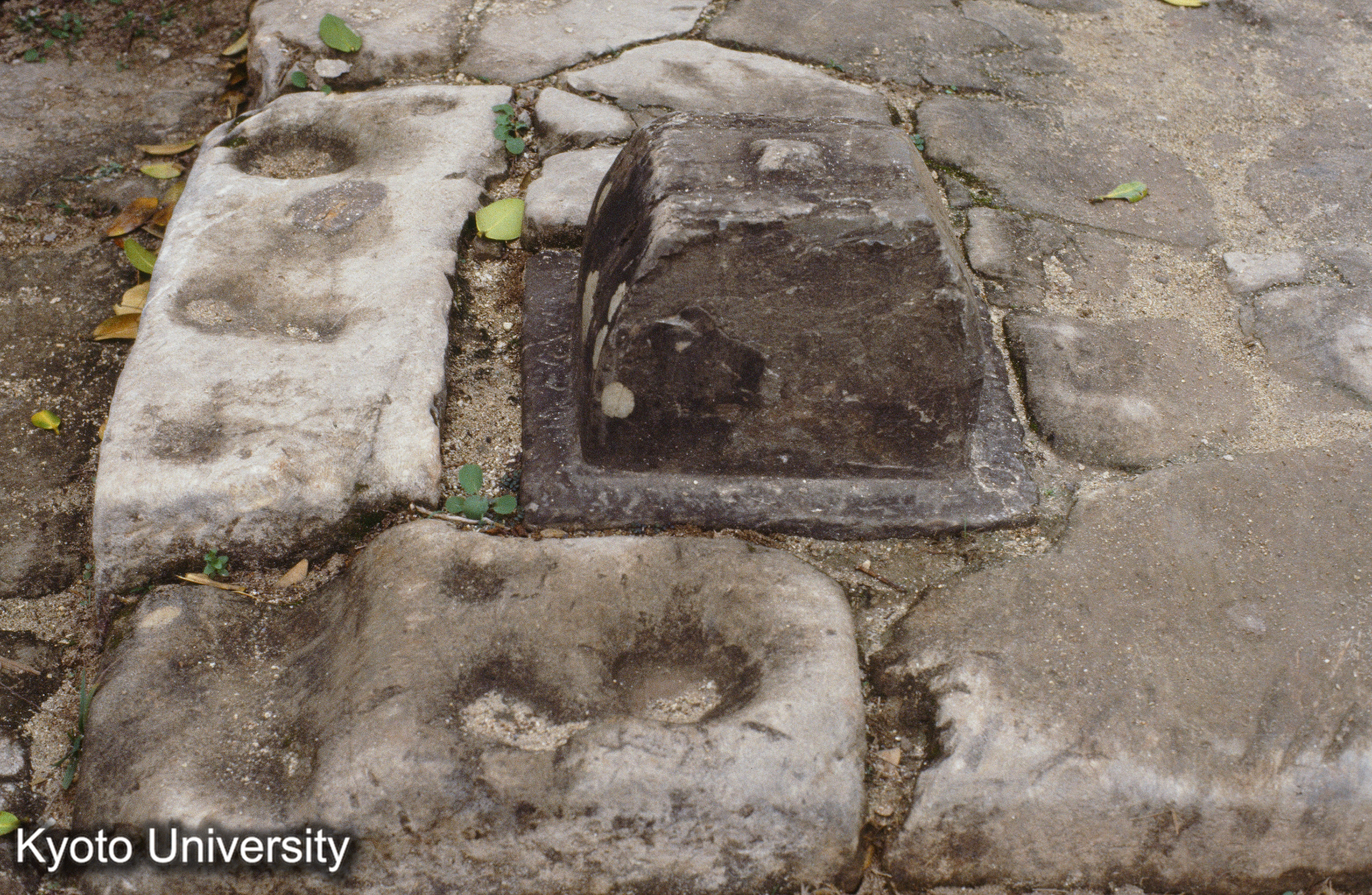 ［スライド］ (1)