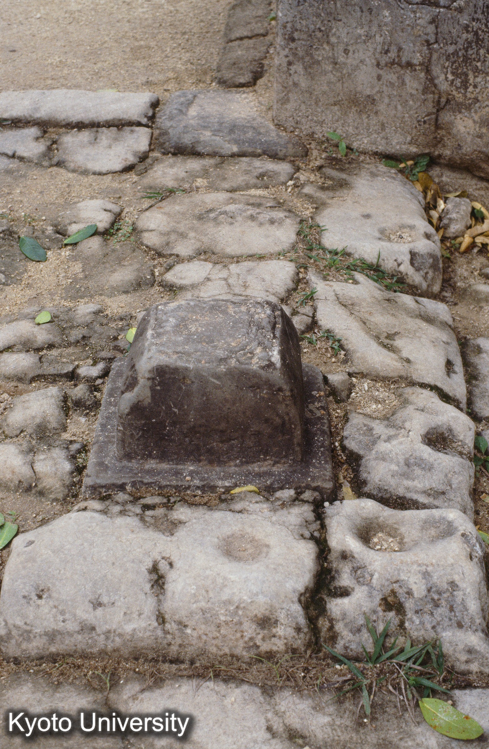 ［スライド］ (1)