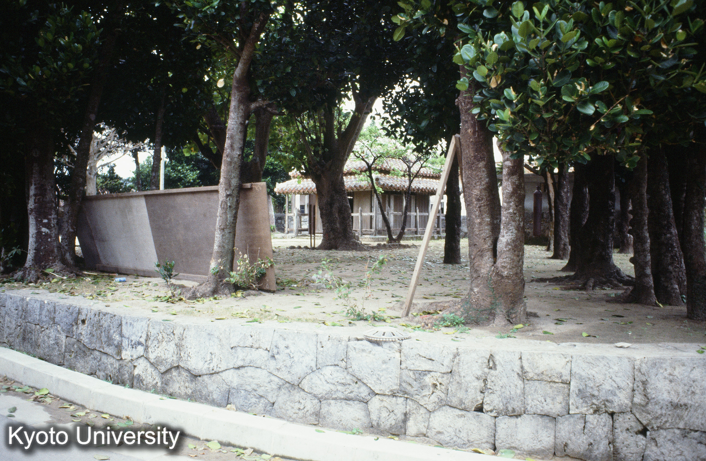 ［スライド］ (1)