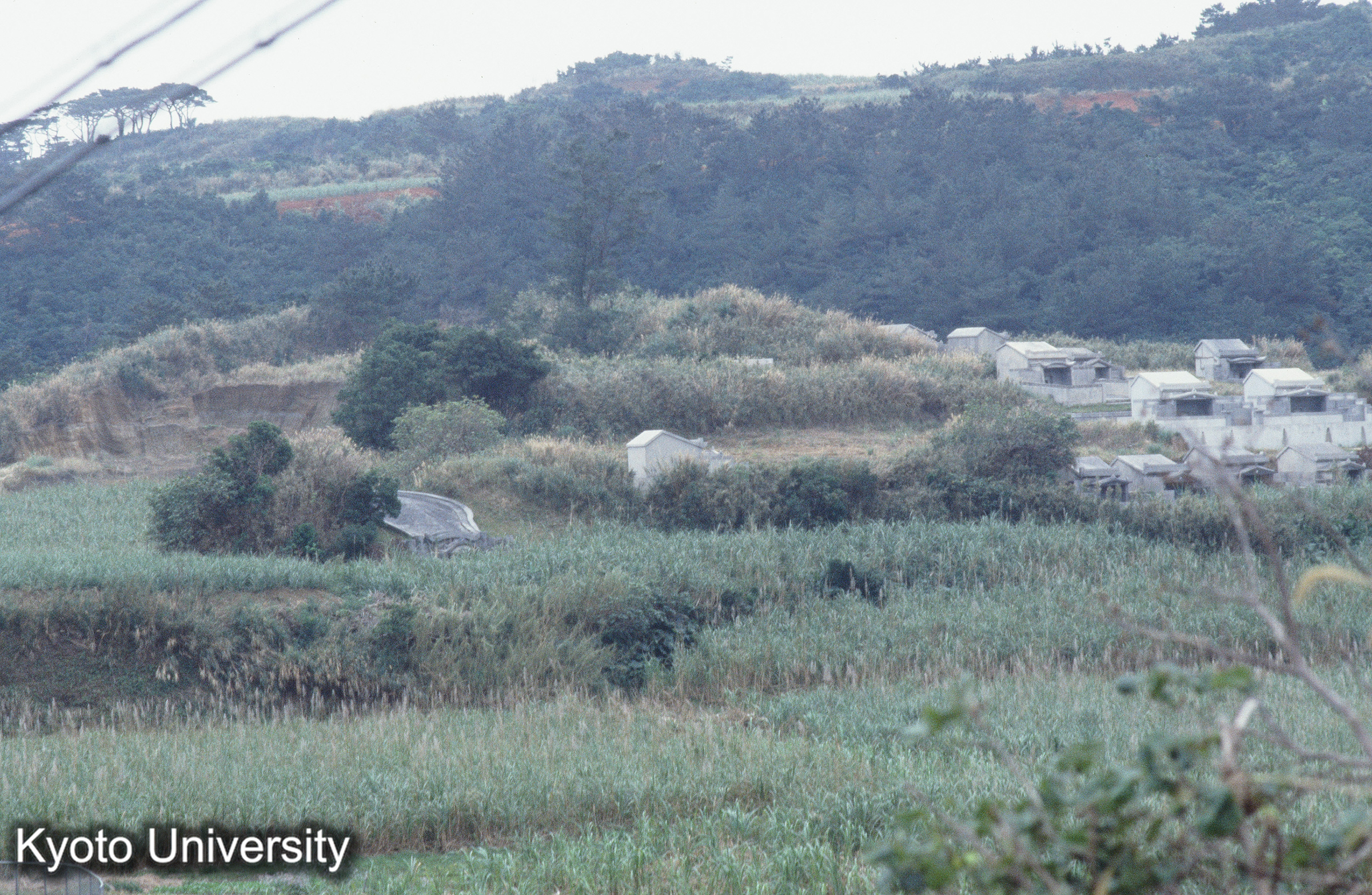 ［スライド］ (1)