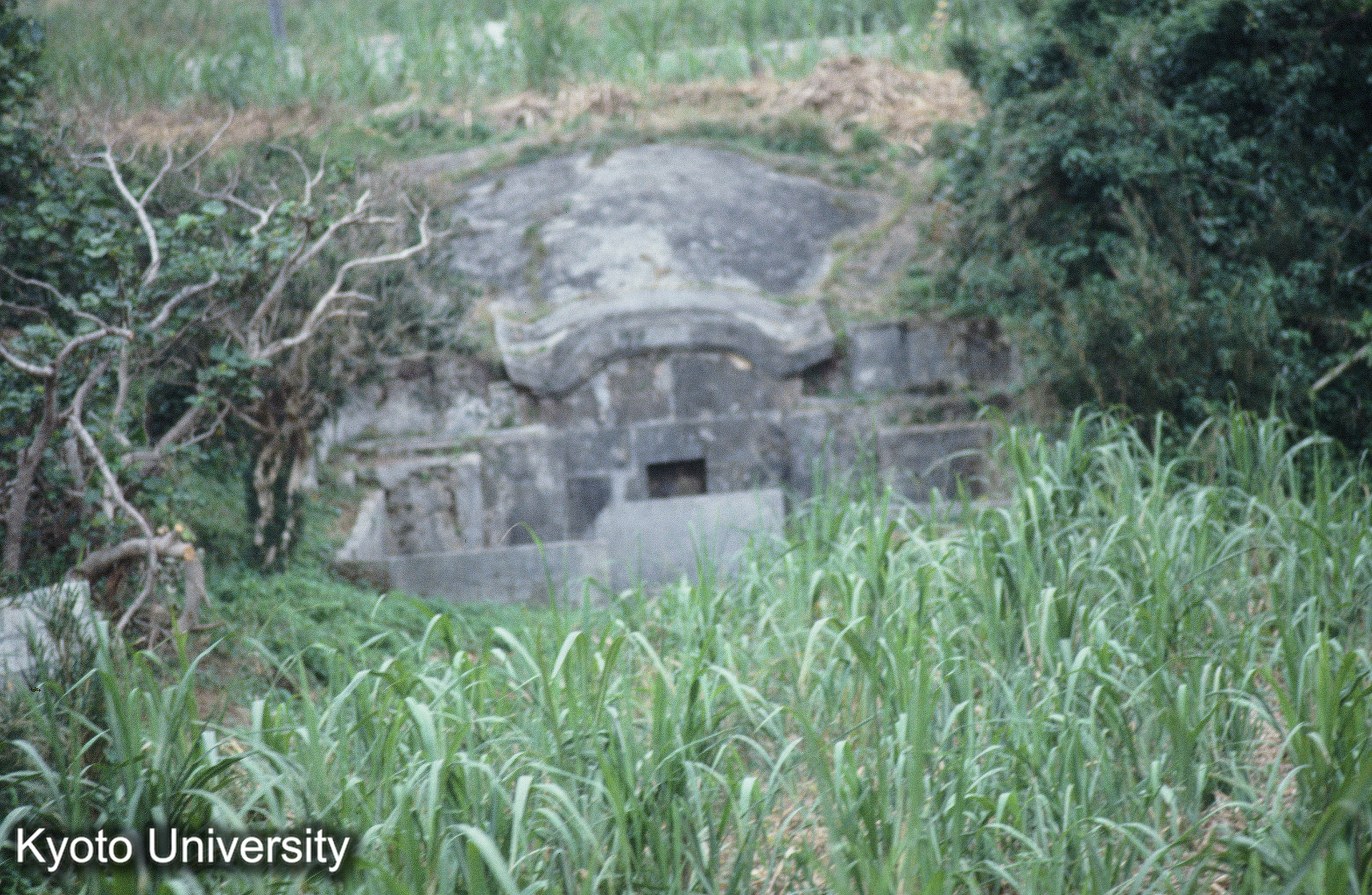 ［スライド］ (1)