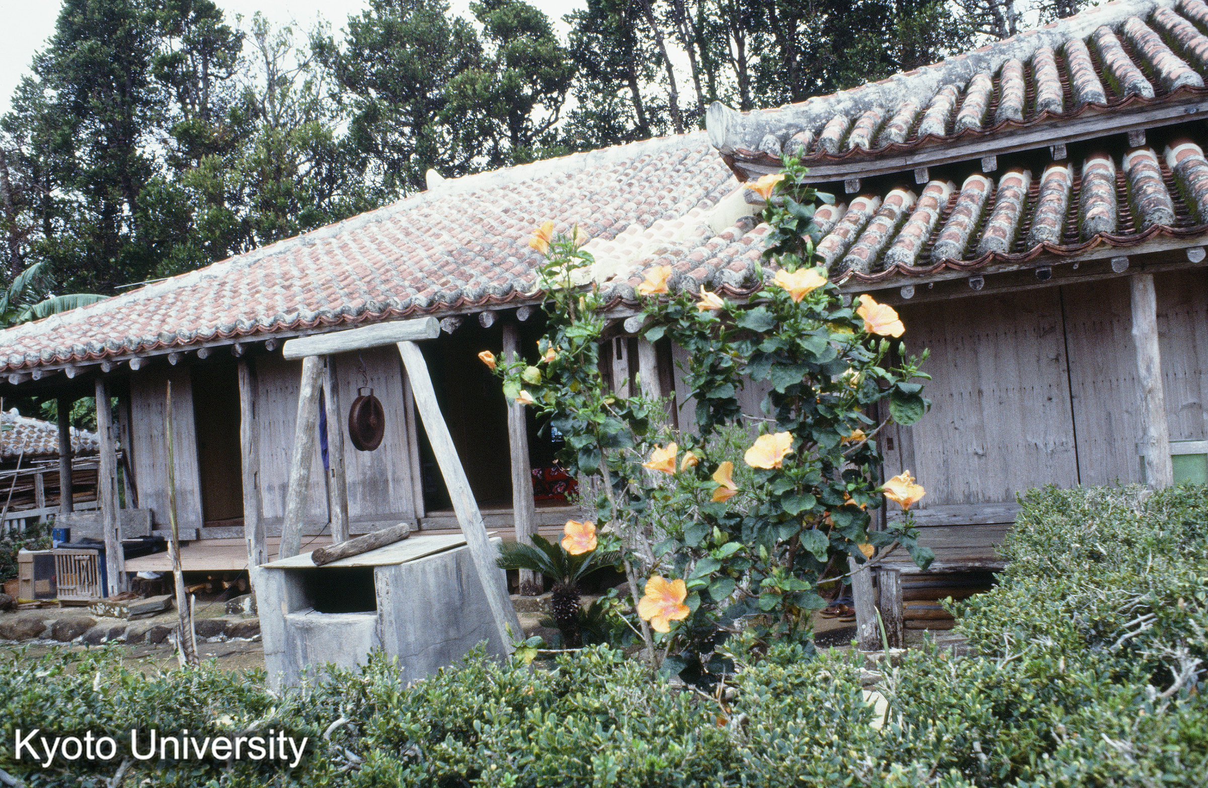 ［スライド］ (1)