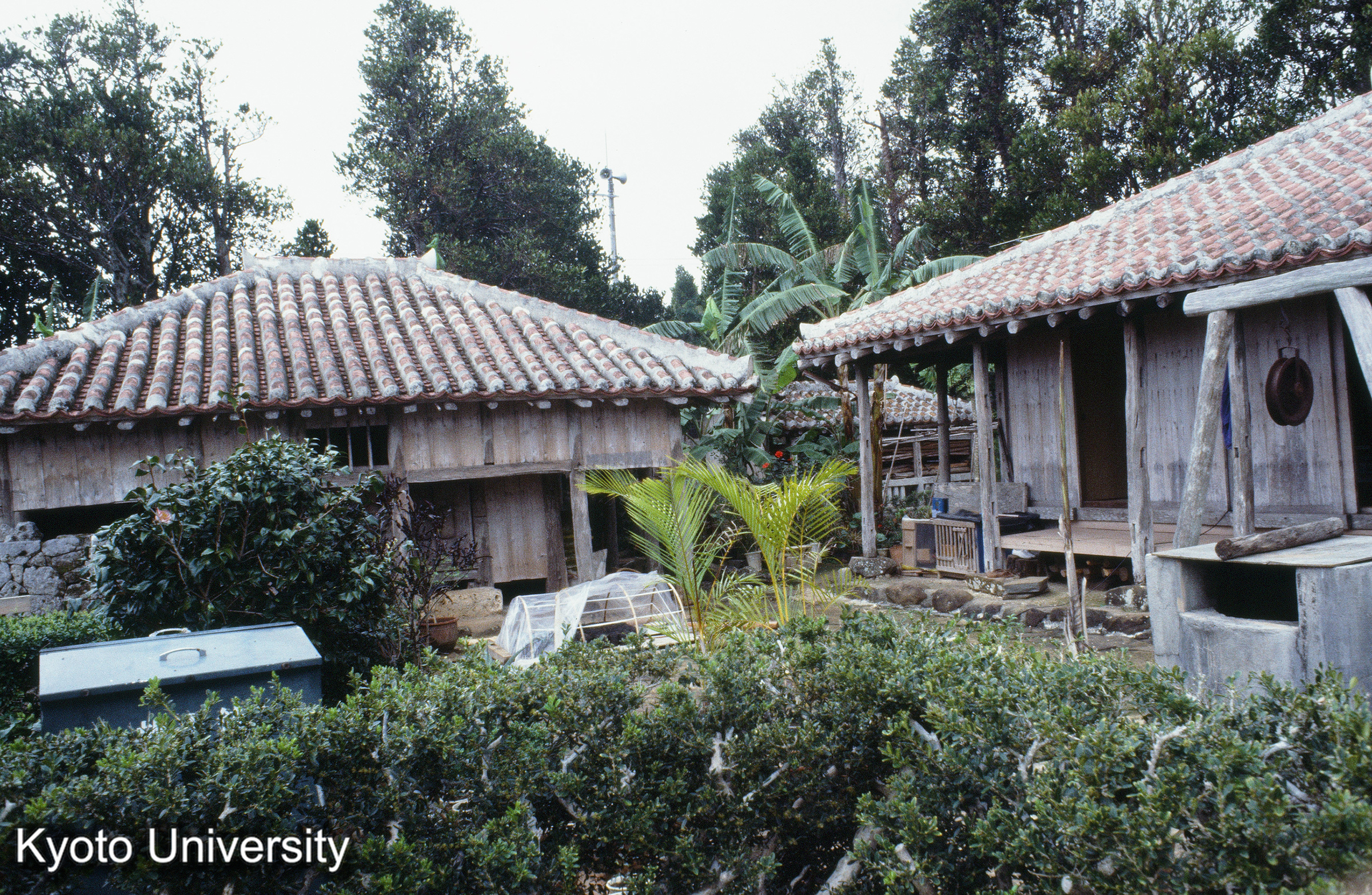 ［スライド］ (1)