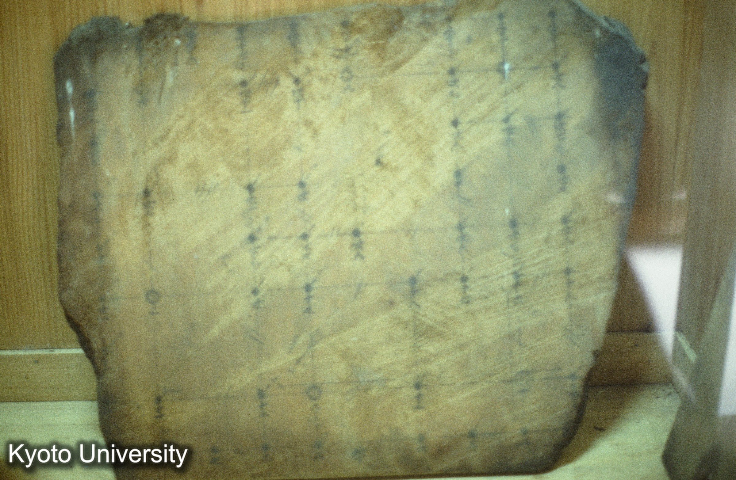 ［スライド］ (1)