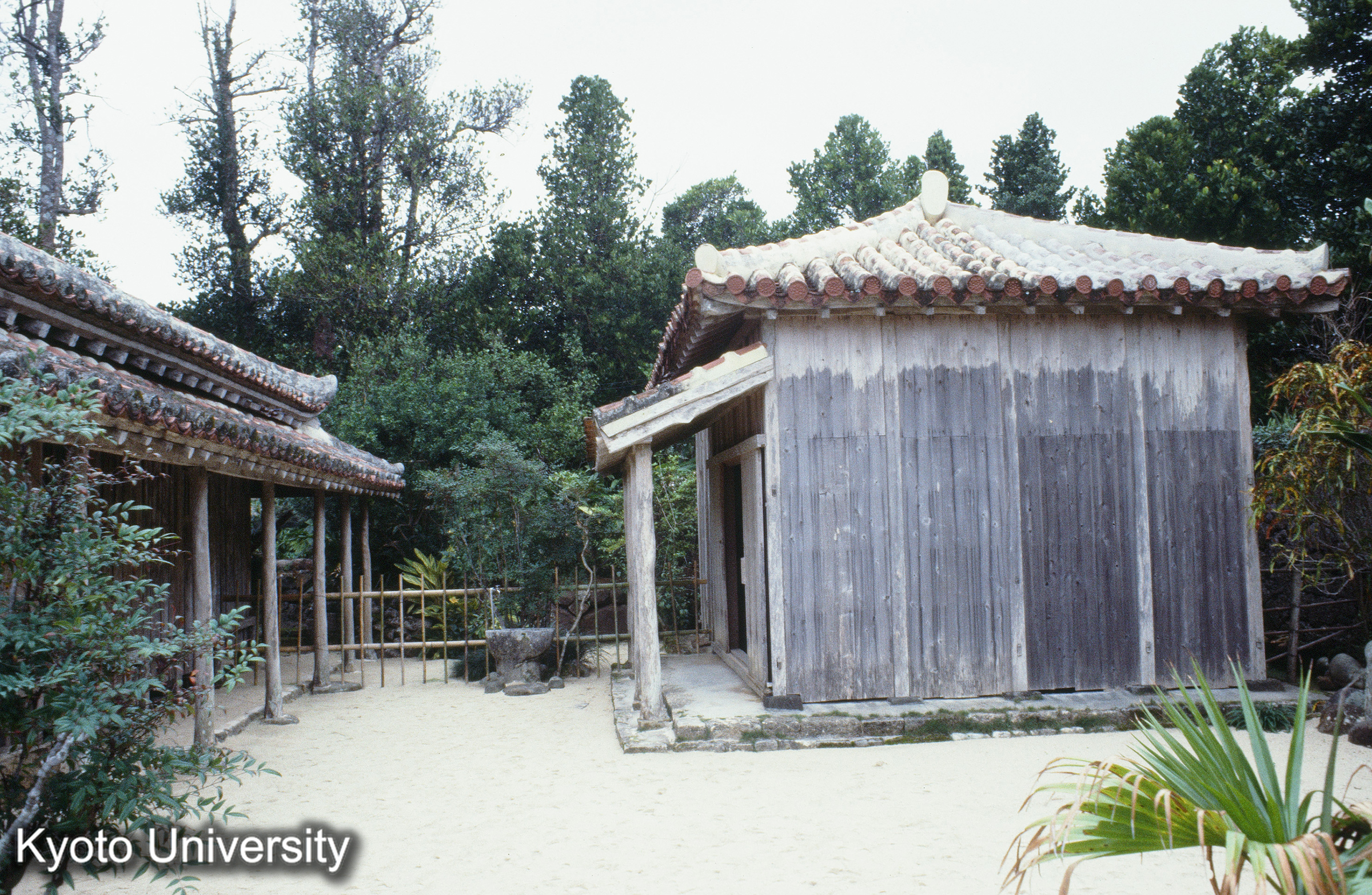 ［スライド］ (1)