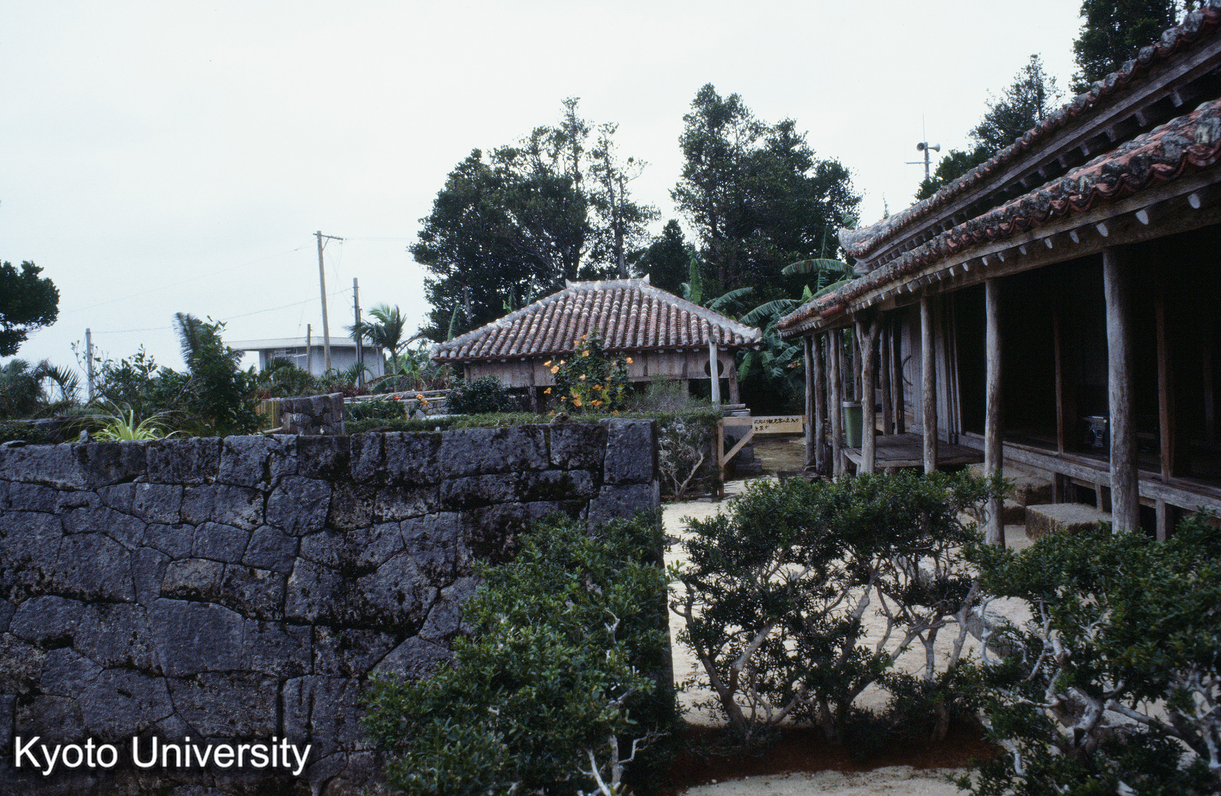 ［スライド］ (1)