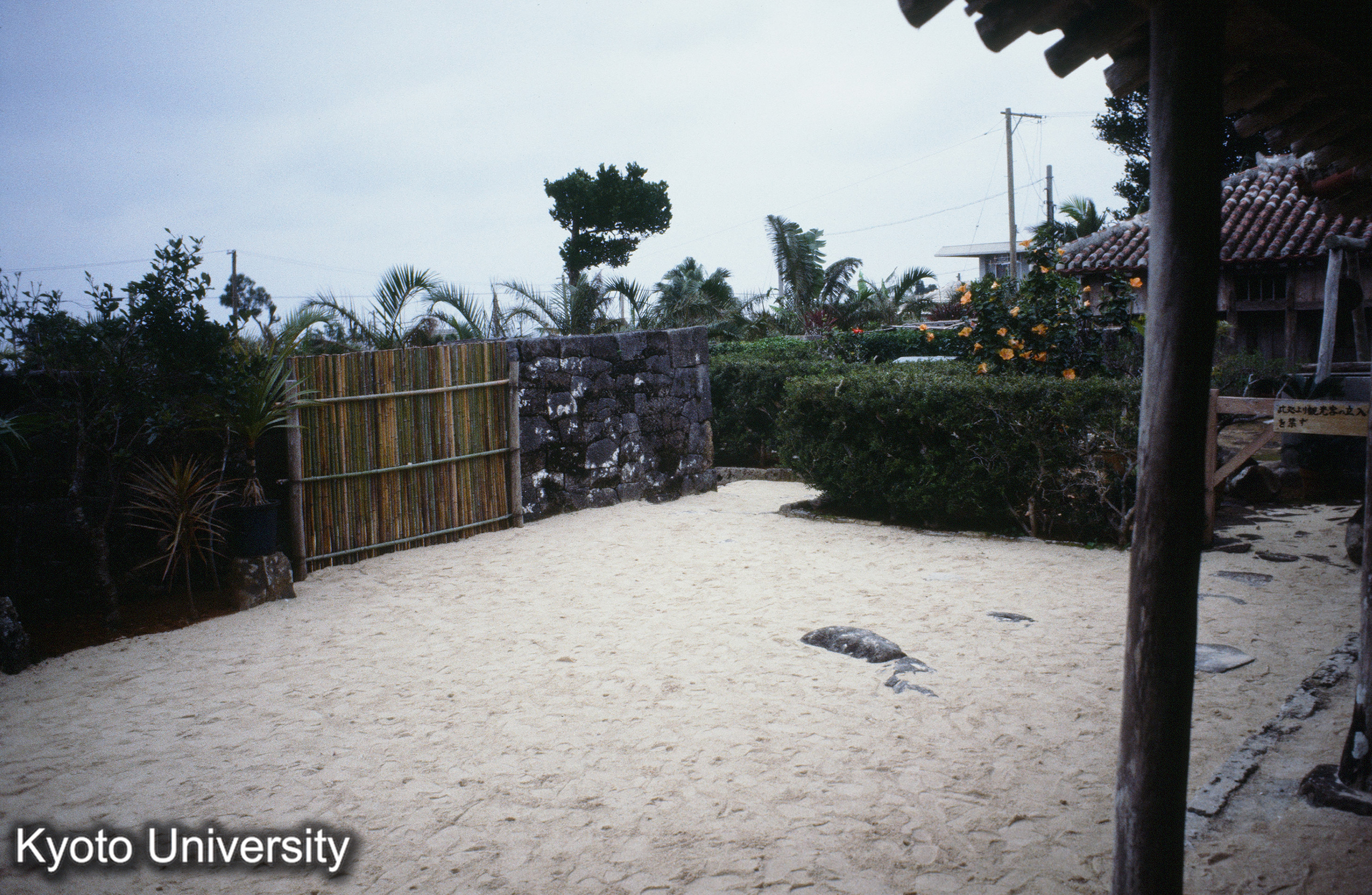 ［スライド］ (1)