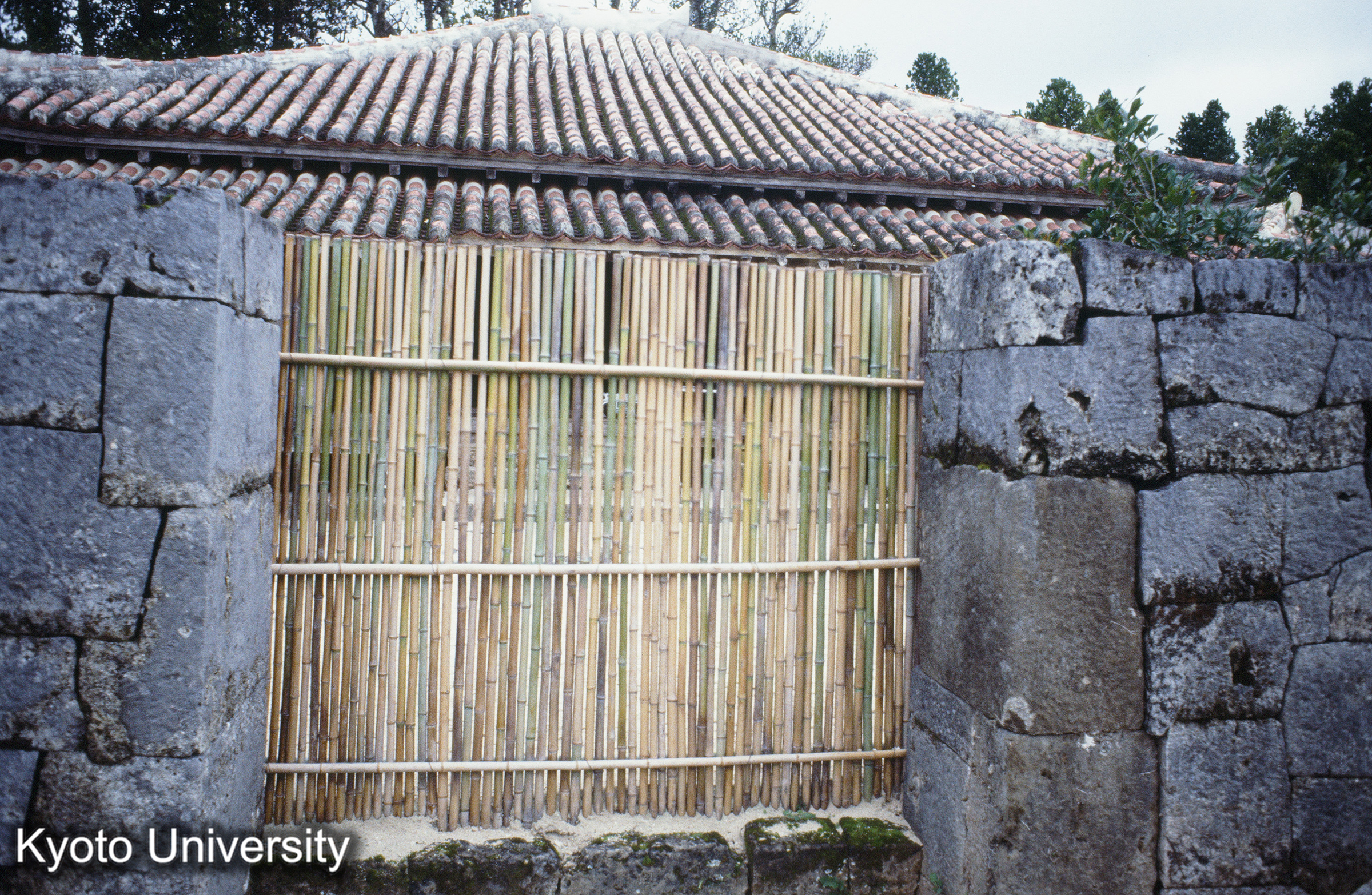 ［スライド］ (1)