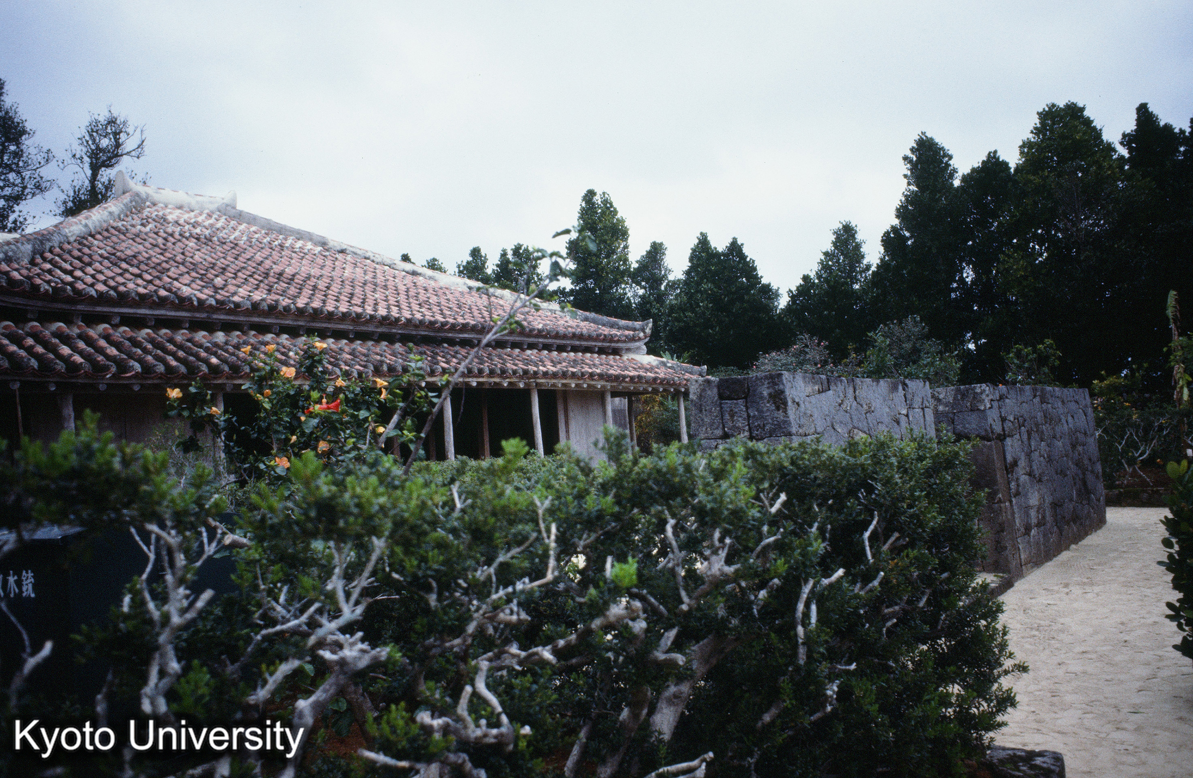 ［スライド］ (1)