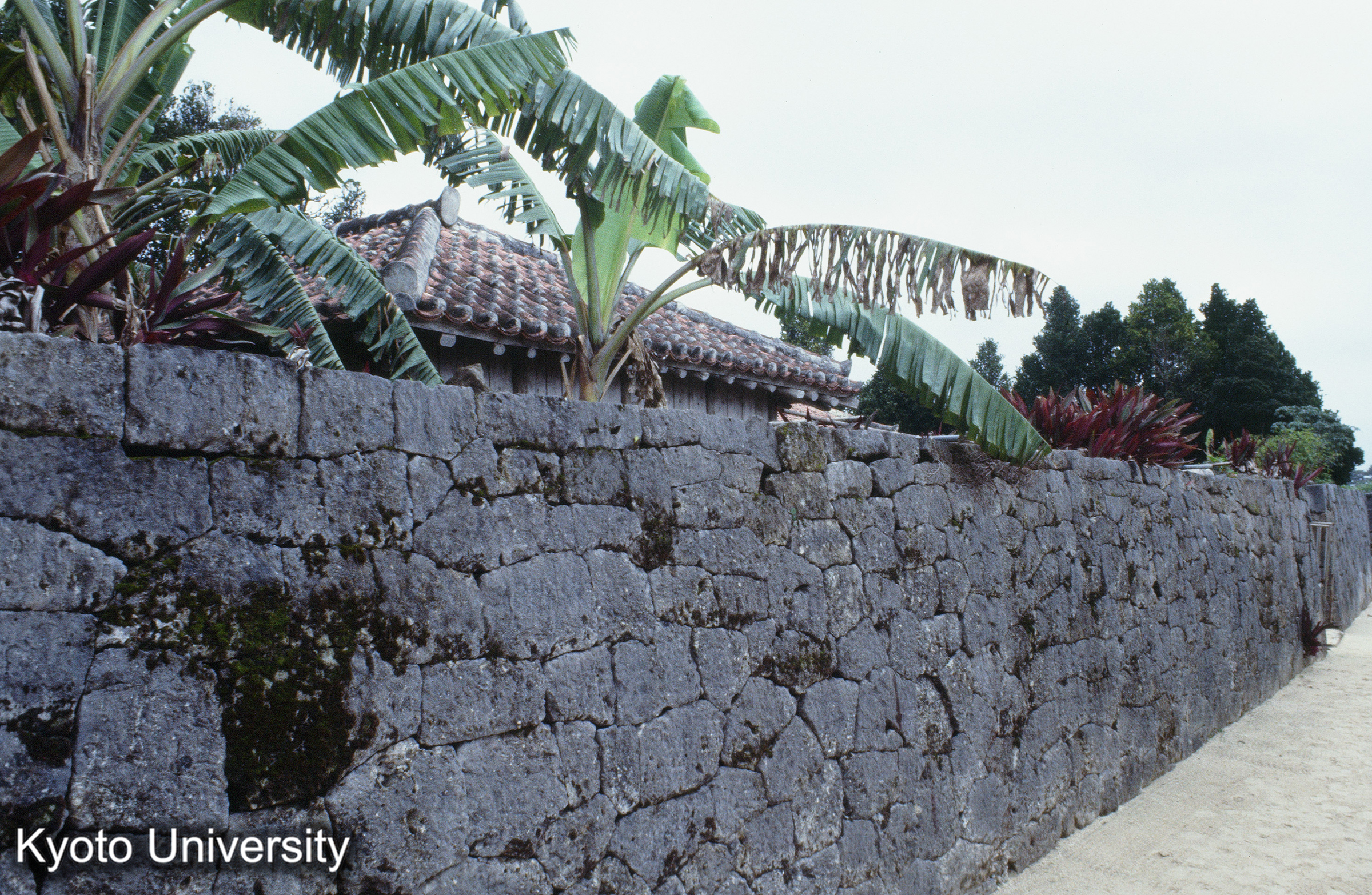 ［スライド］ (1)