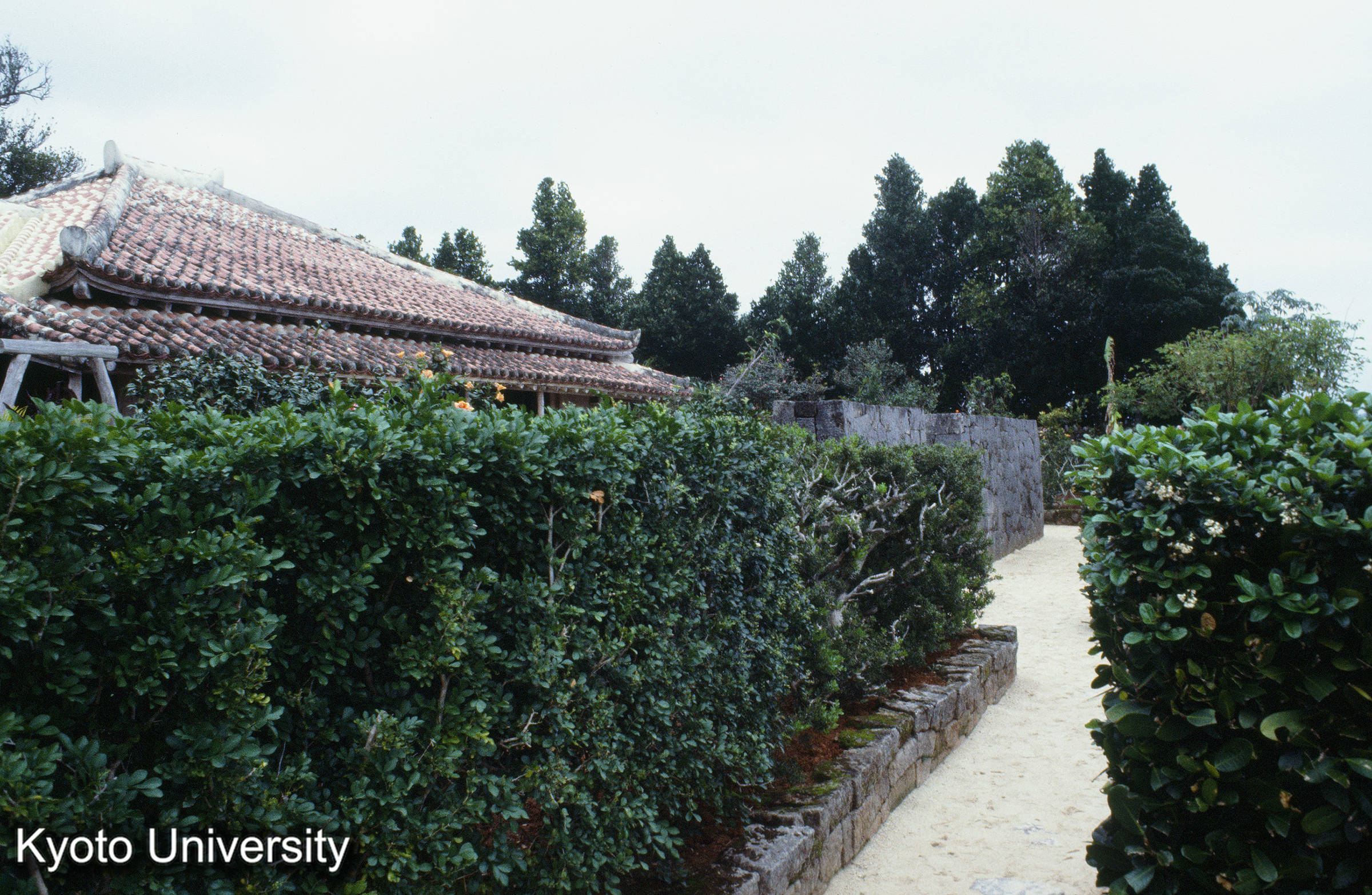 ［スライド］ (1)