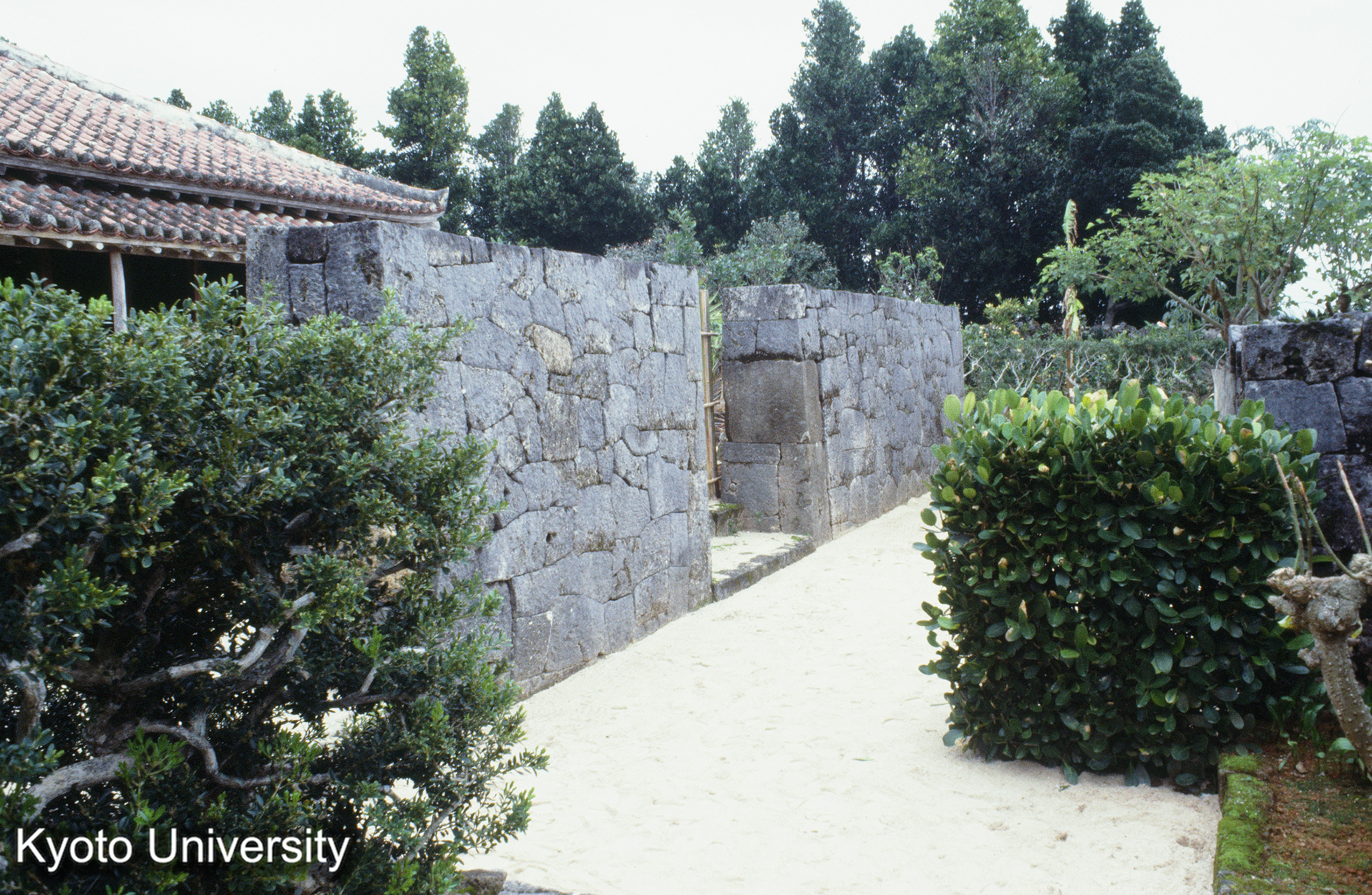 ［スライド］ (1)