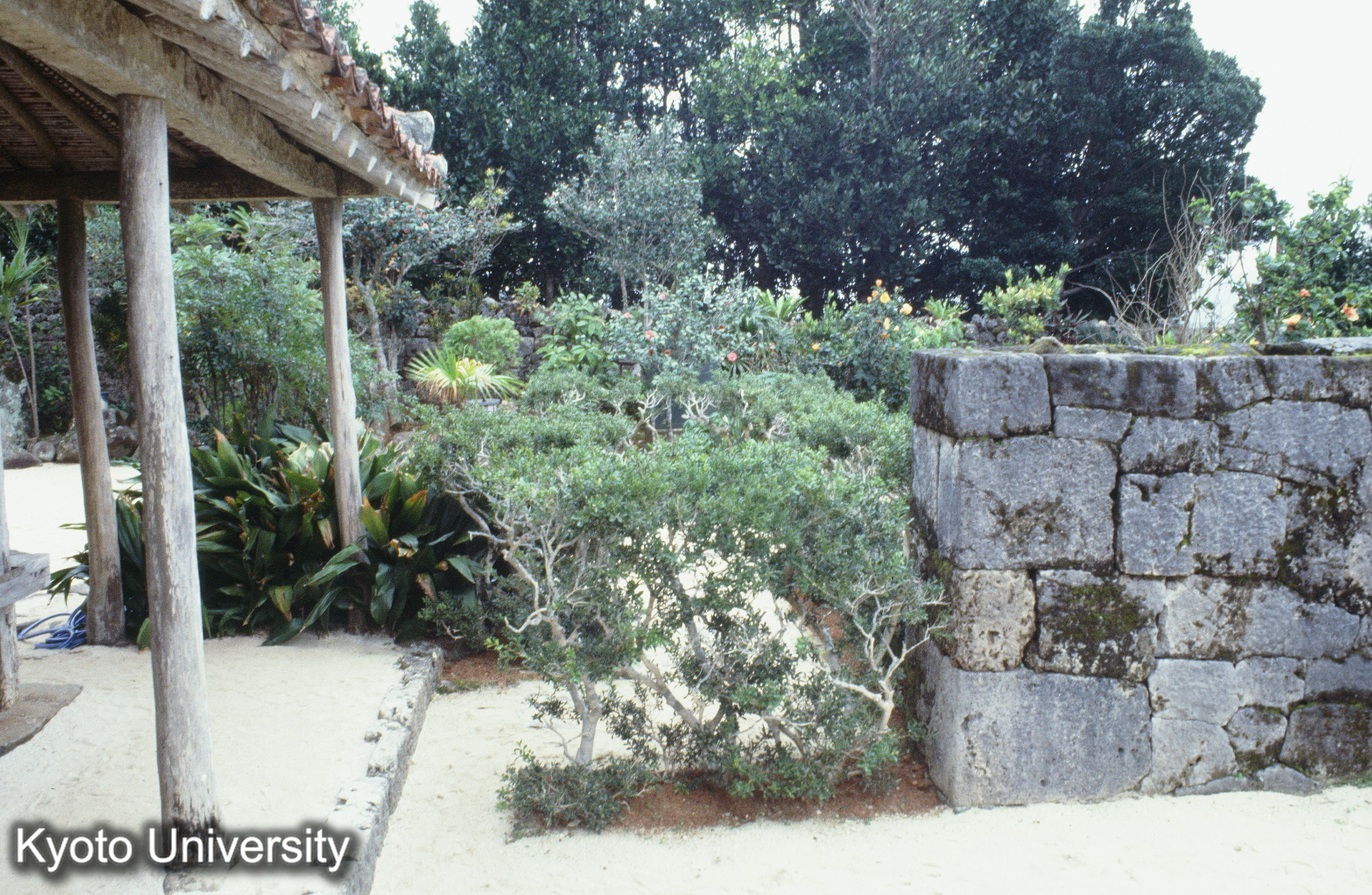 ［スライド］ (1)