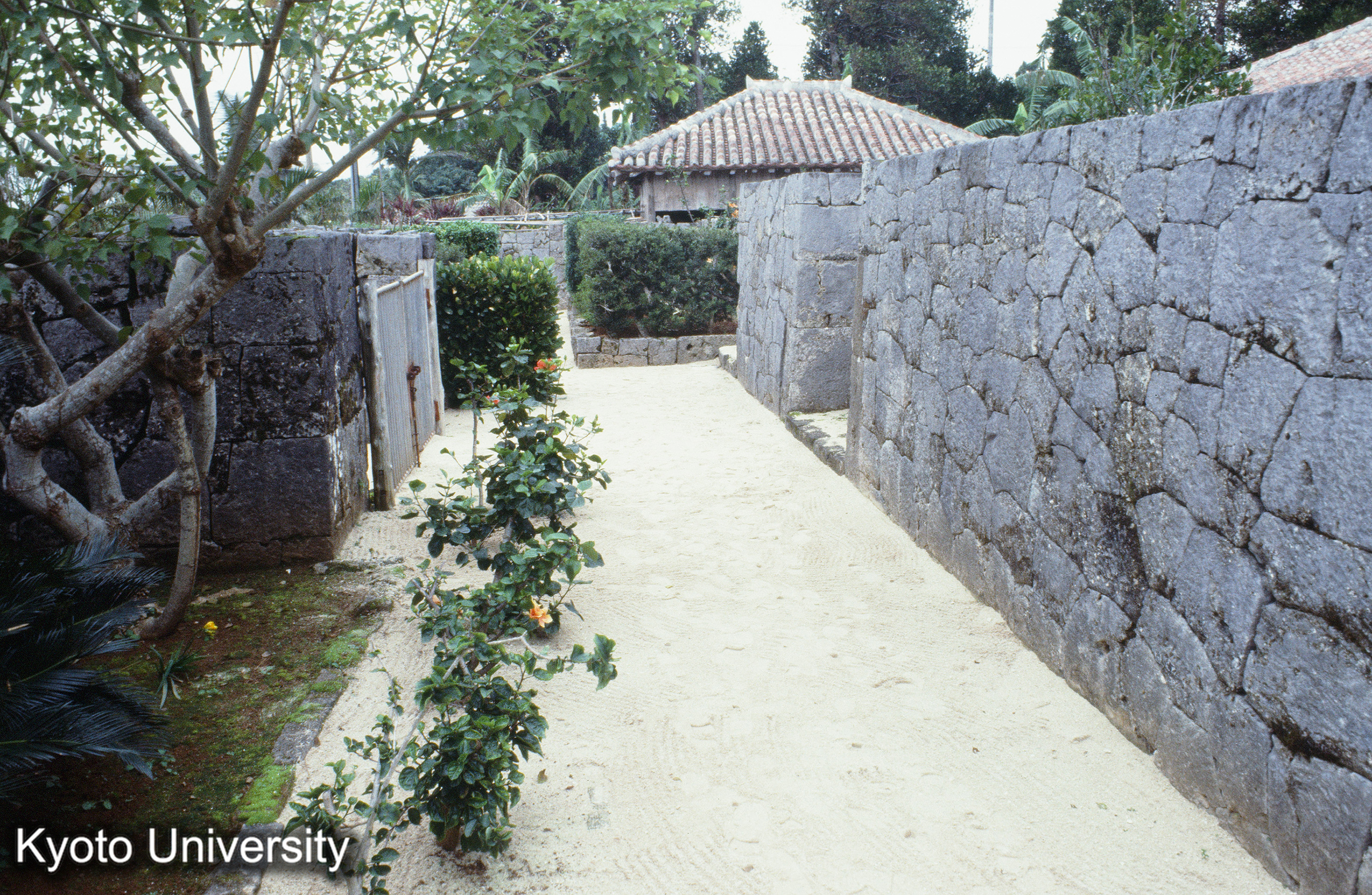 ［スライド］ (1)