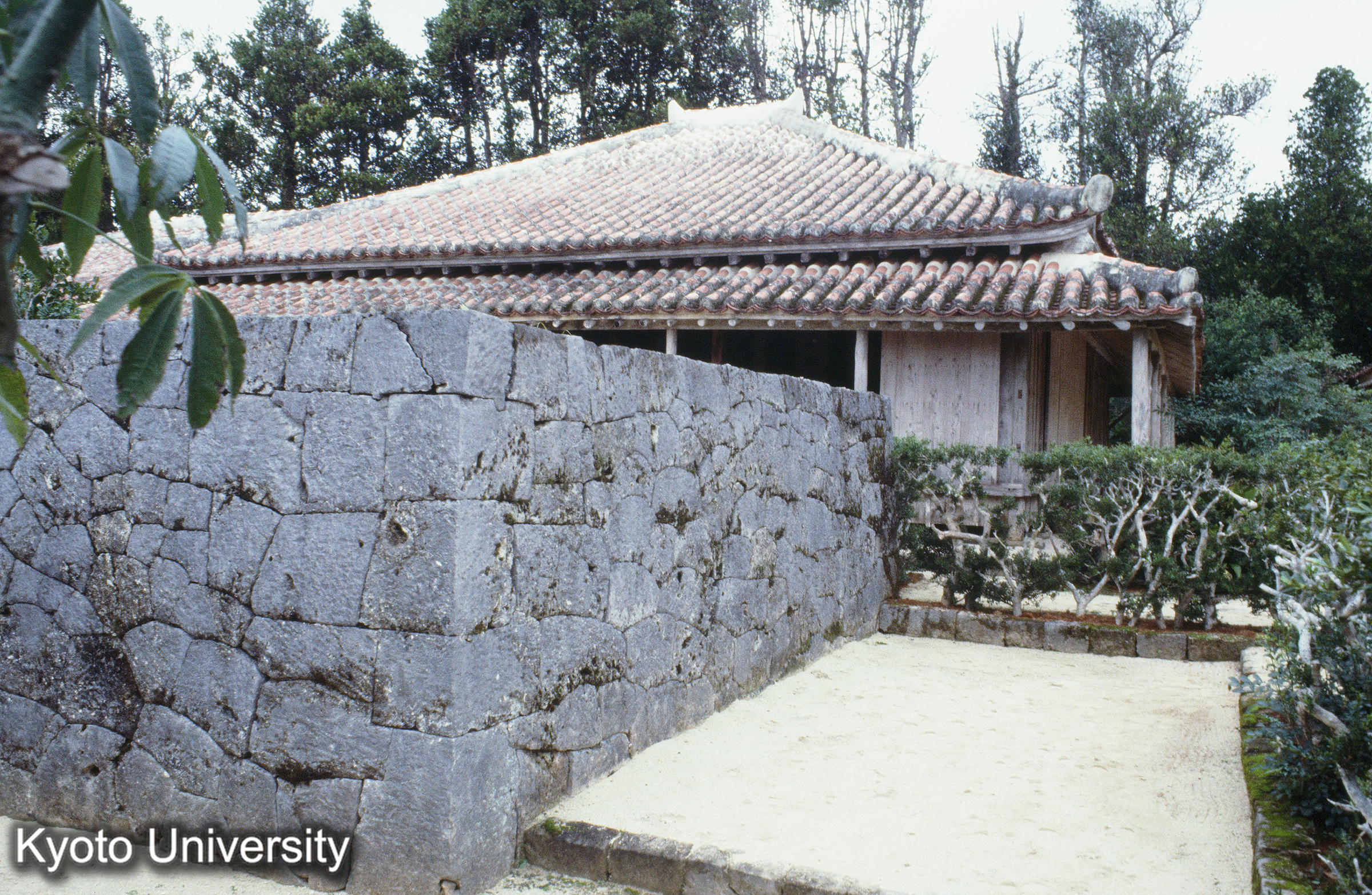 ［スライド］ (1)