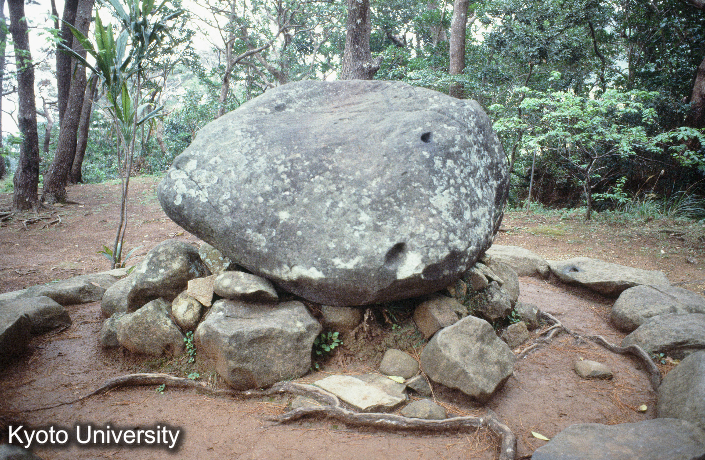 ［スライド］ (1)