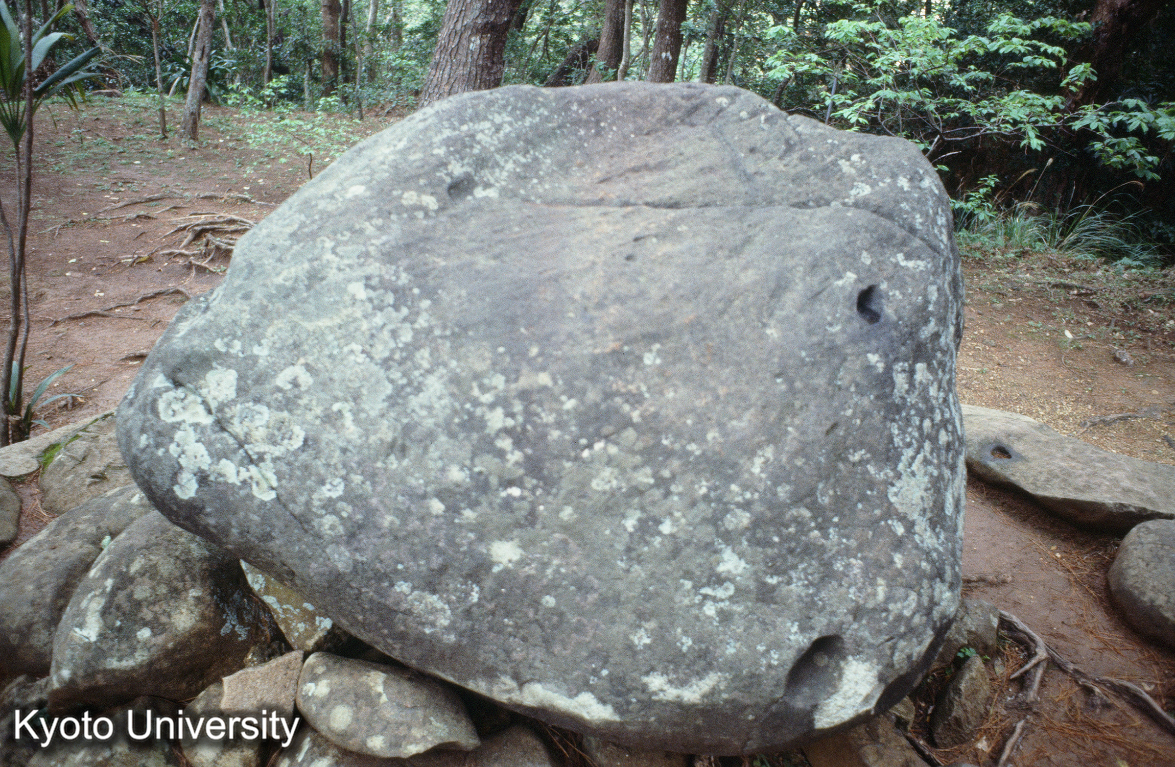 ［スライド］ (1)