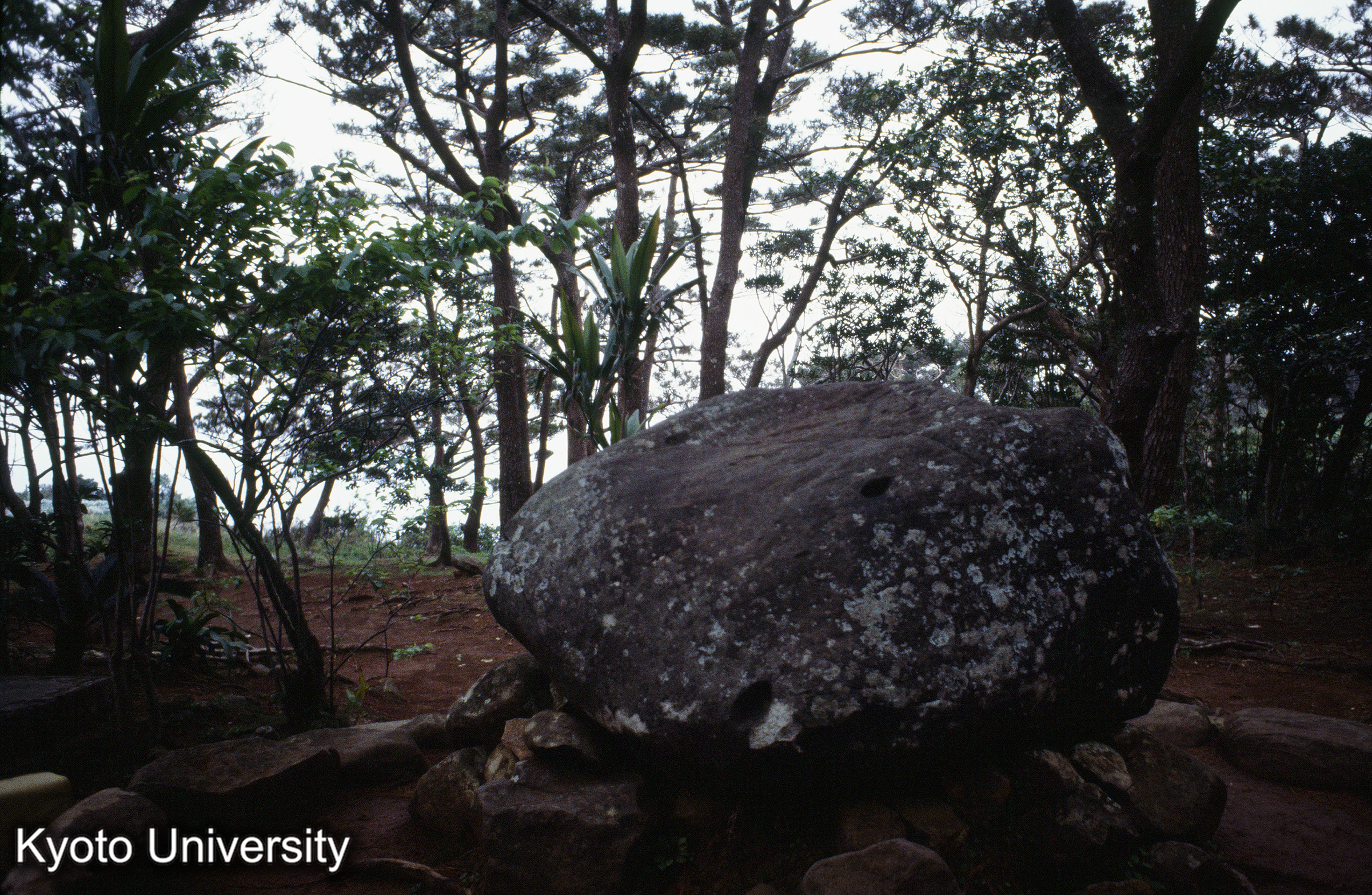 ［スライド］ (1)