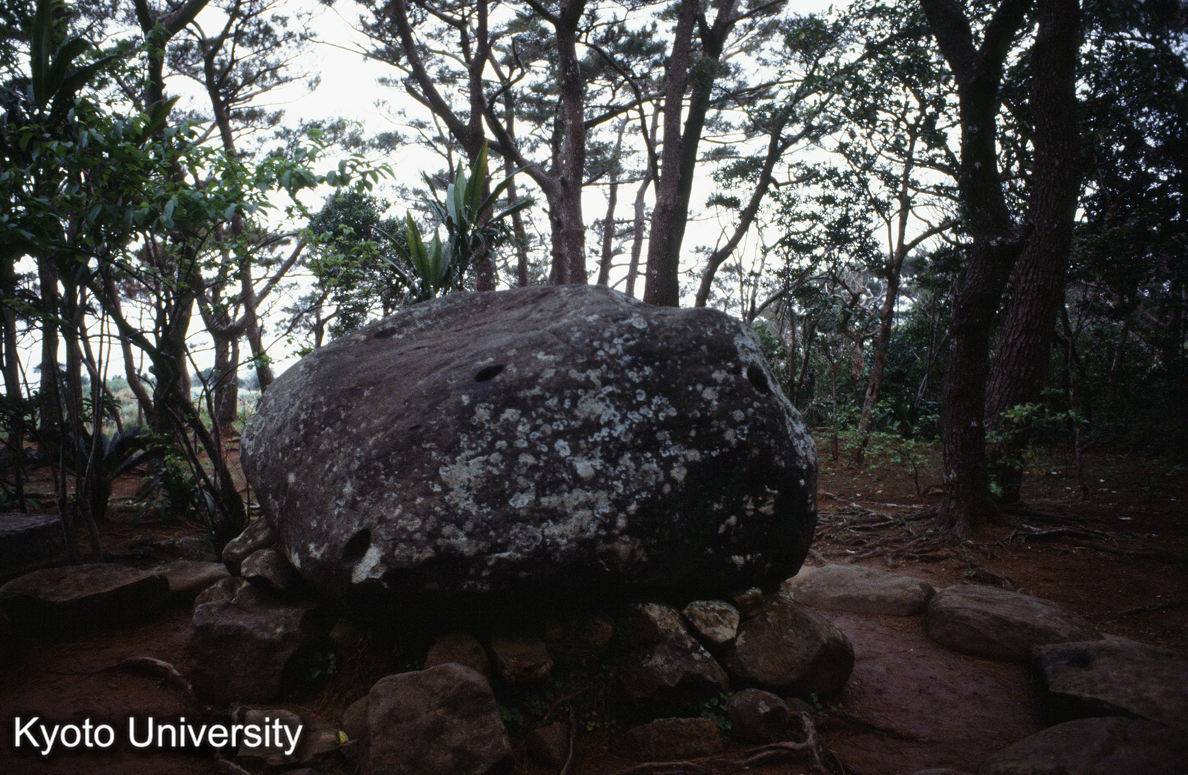 ［スライド］ (1)