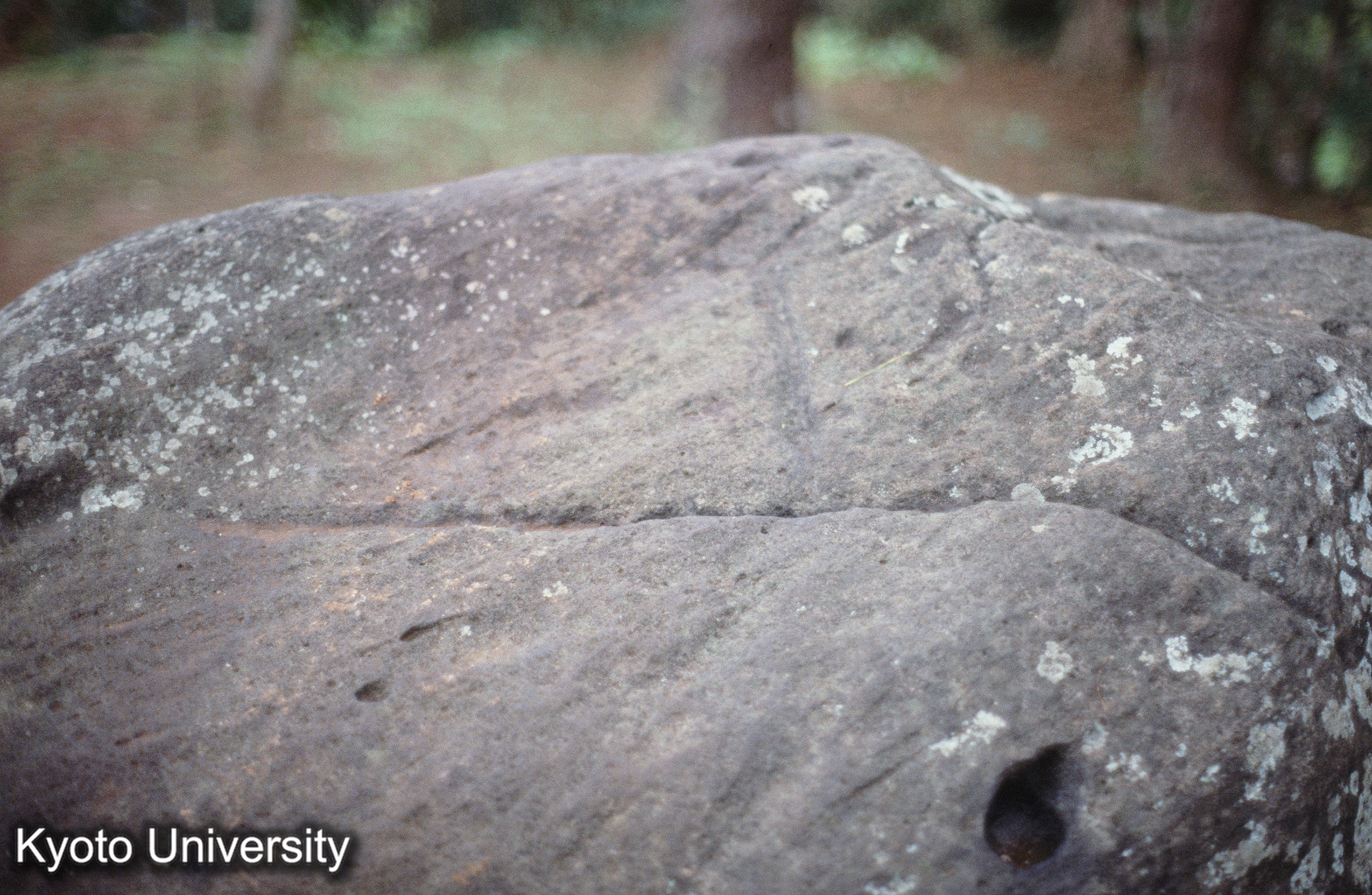 ［スライド］ (1)