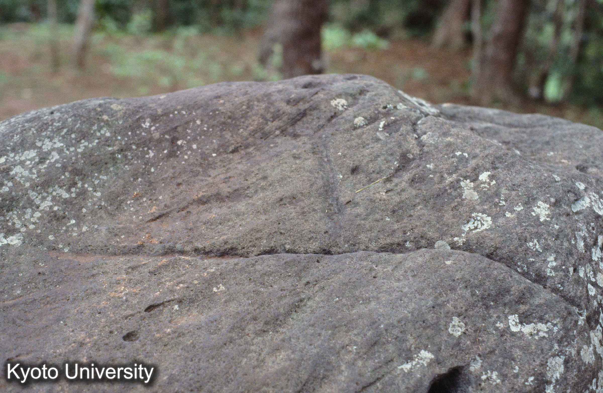 ［スライド］ (1)