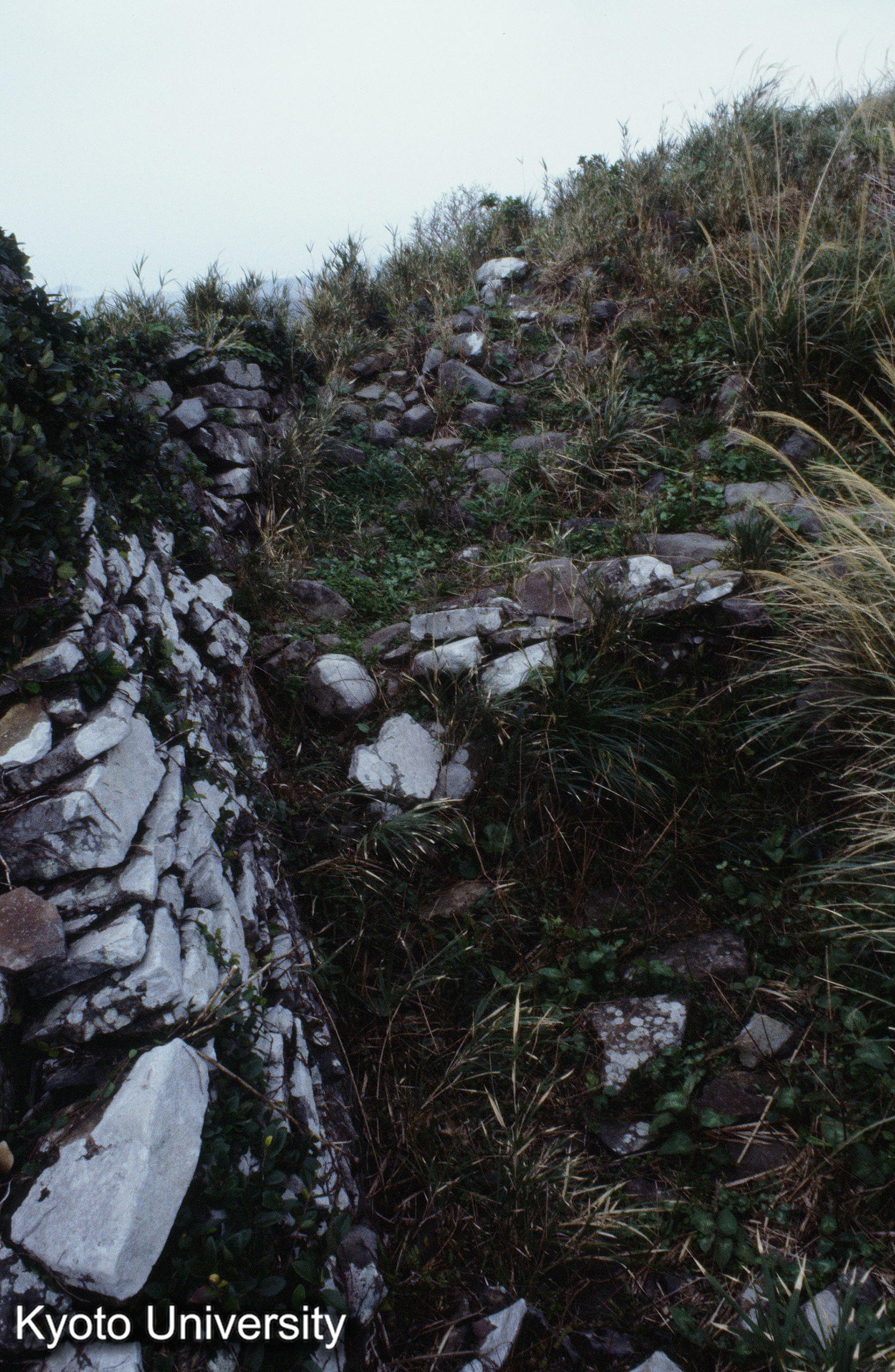 ［スライド］ (1)