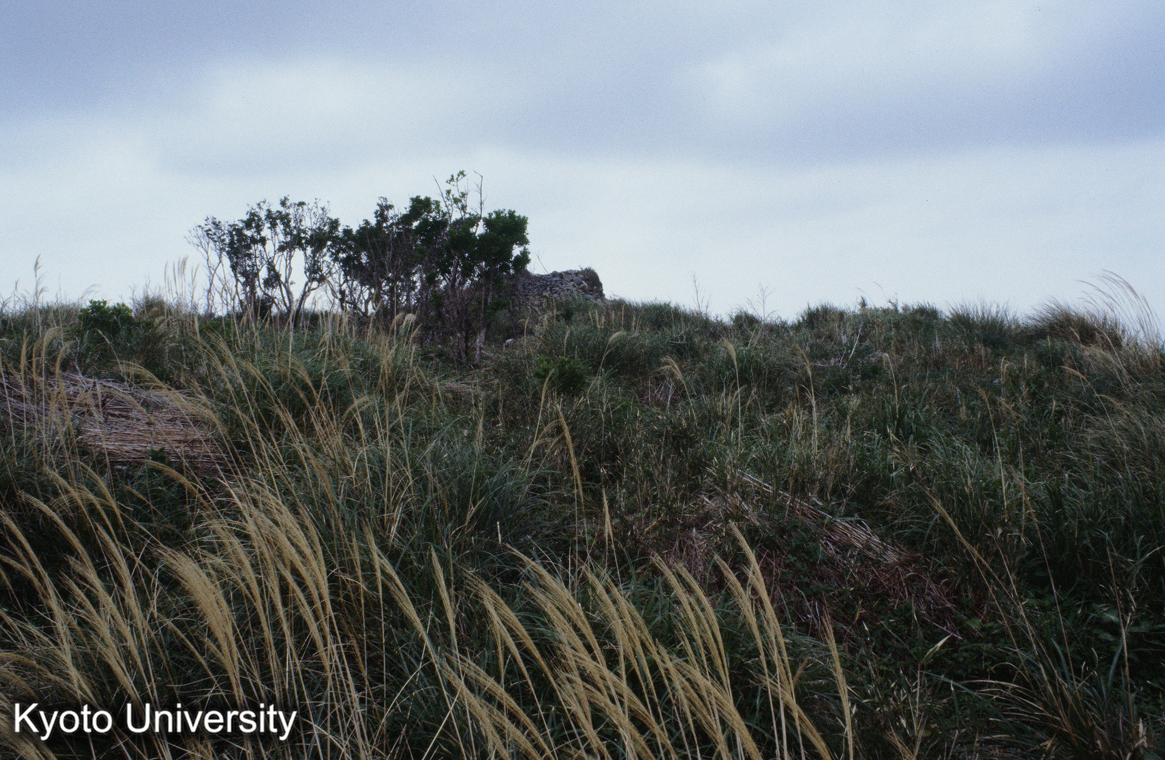 ［スライド］ (1)