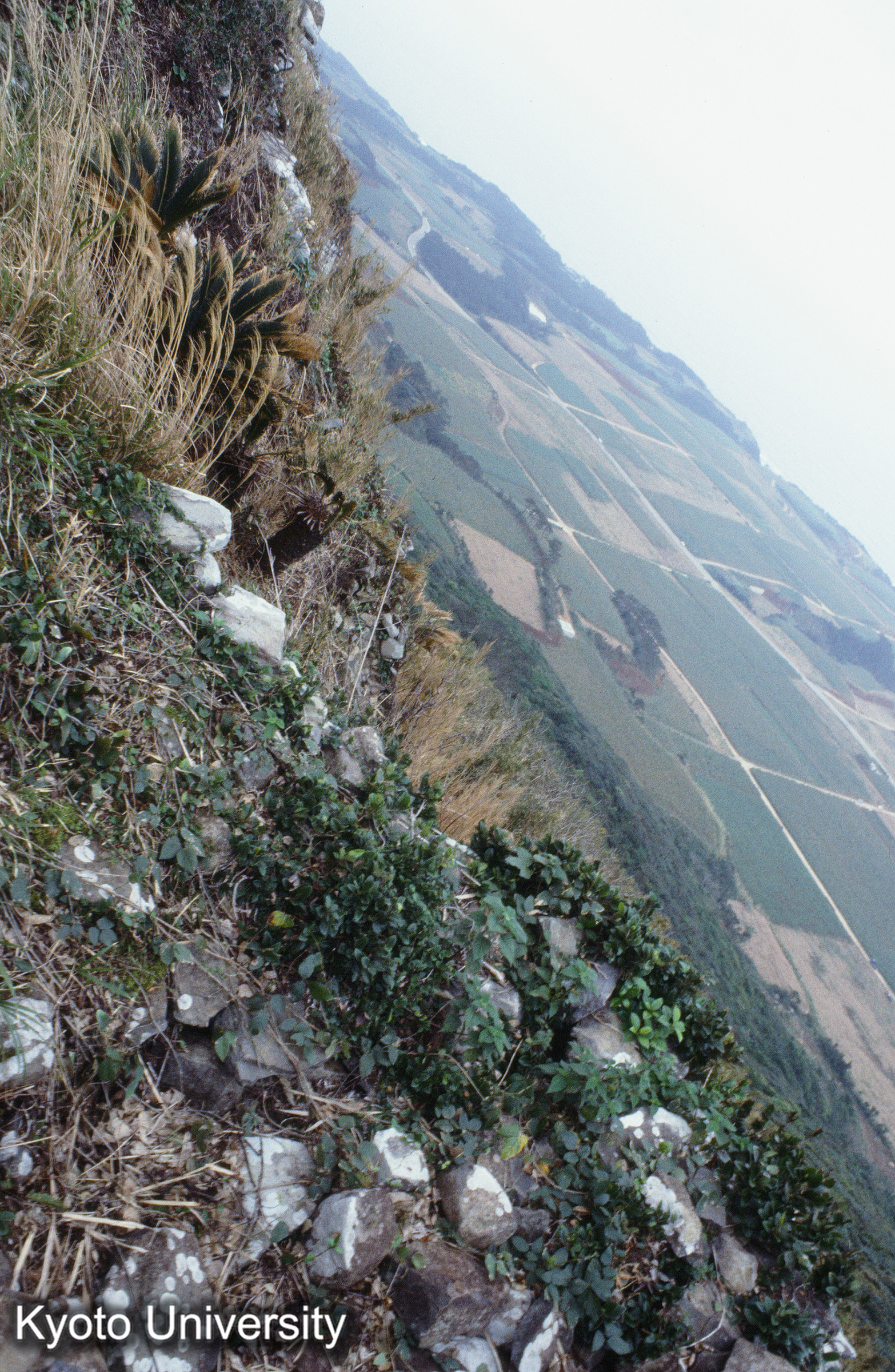 ［スライド］ (1)