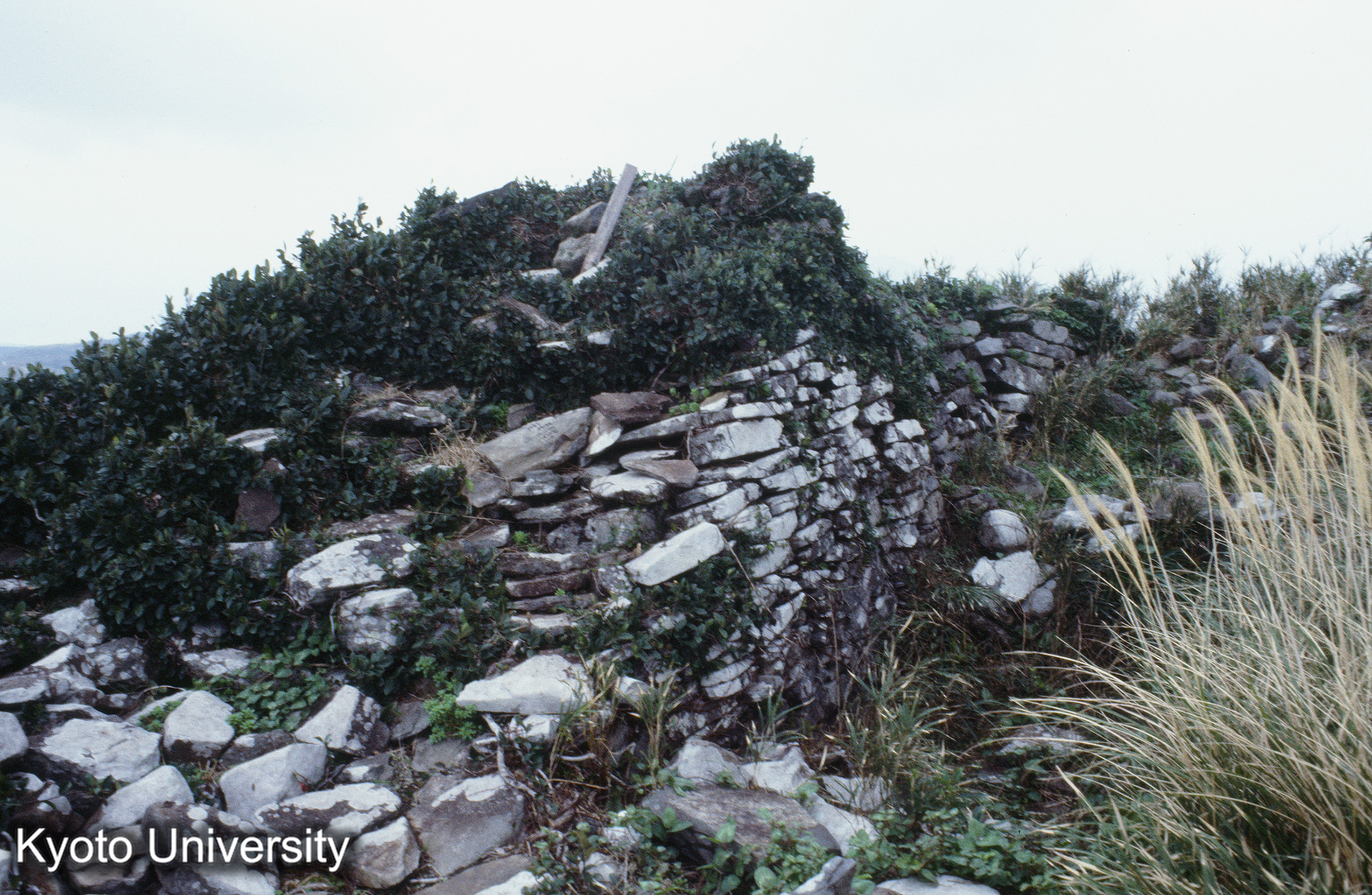 ［スライド］ (1)