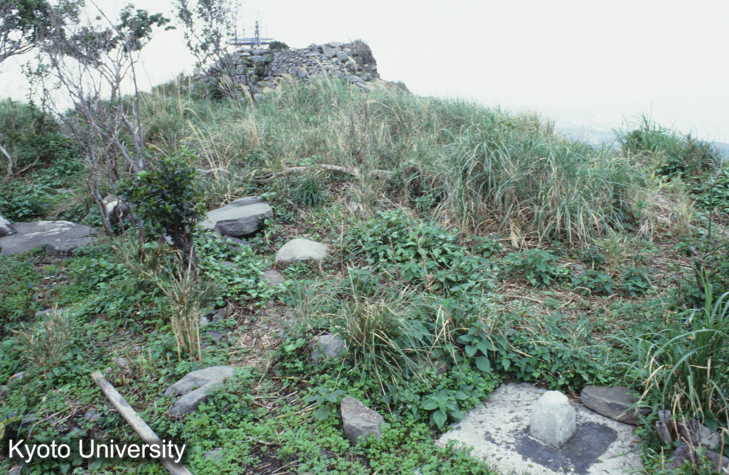 ［スライド］ (1)