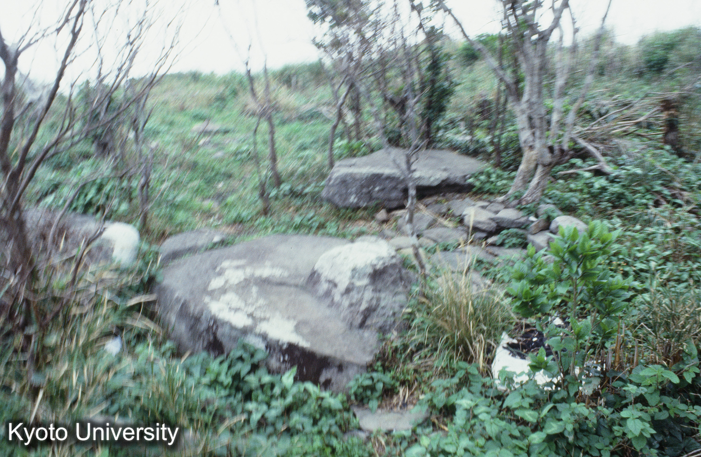 ［スライド］ (1)