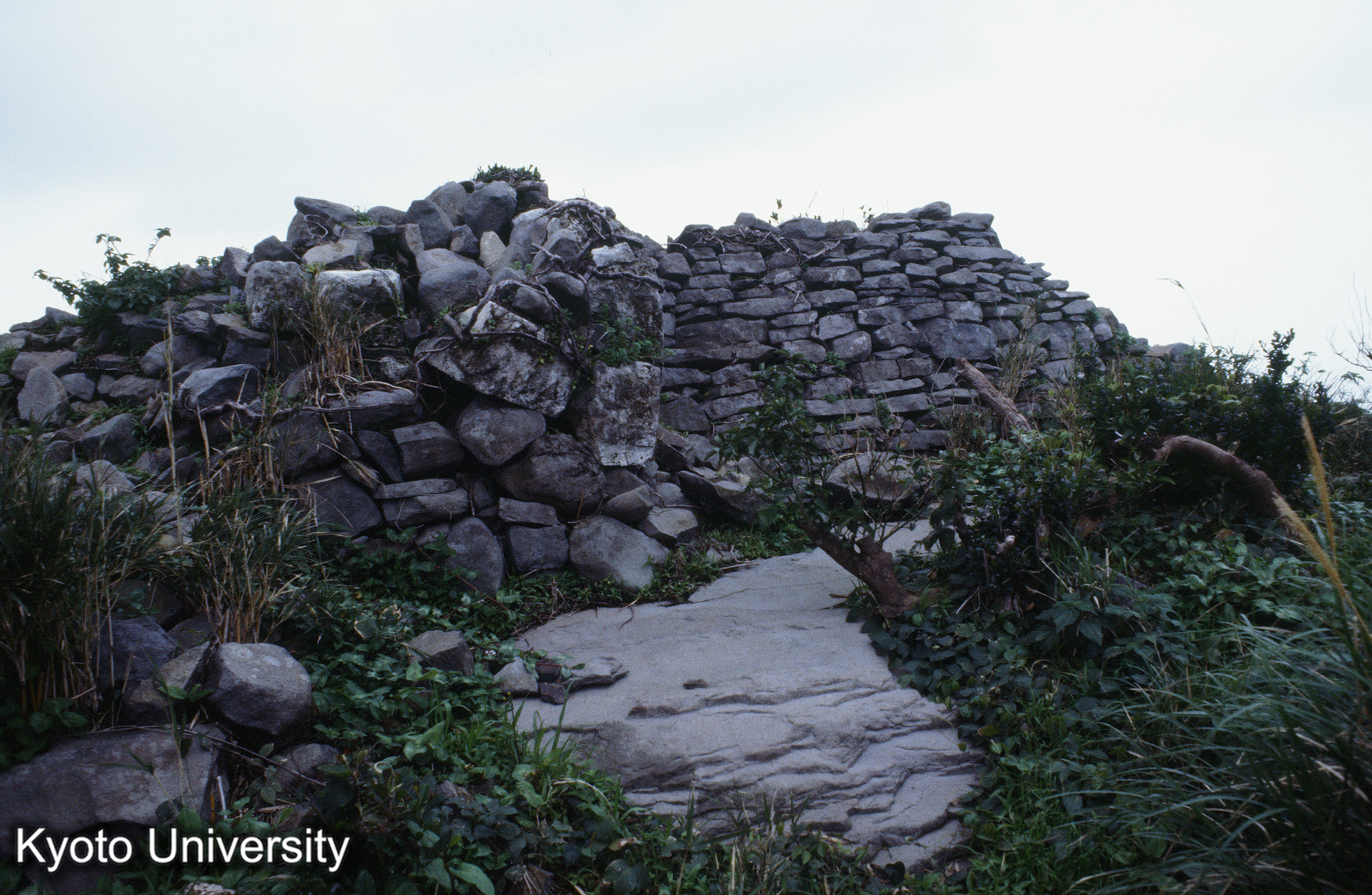 ［スライド］ (1)