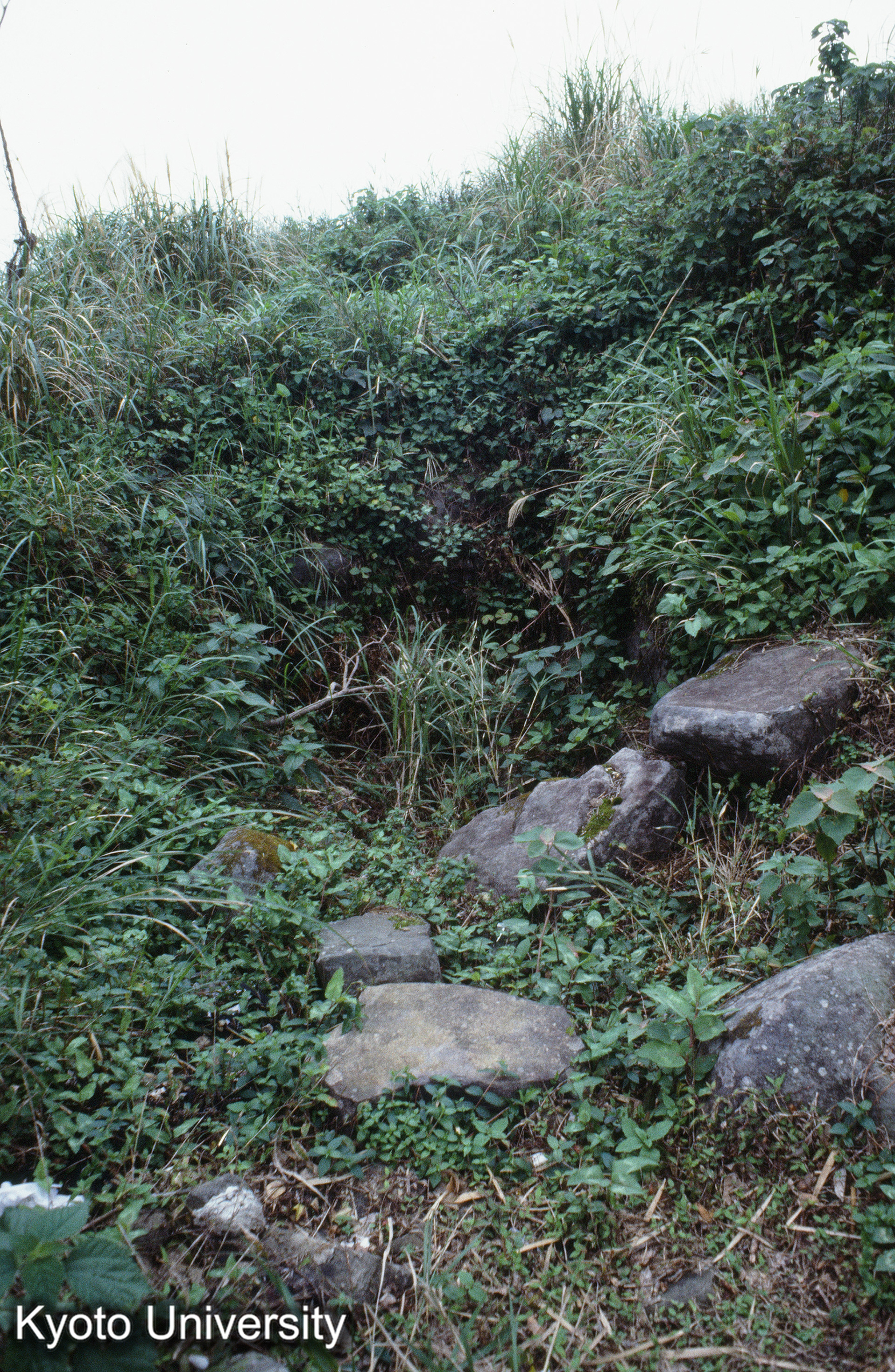 ［スライド］ (1)