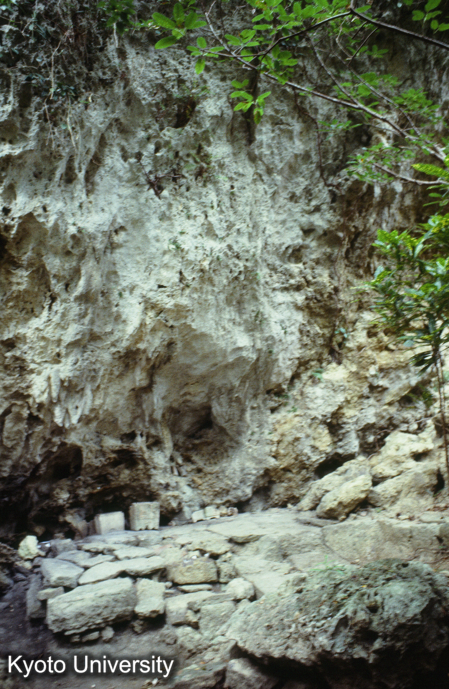 ［スライド］ (1)