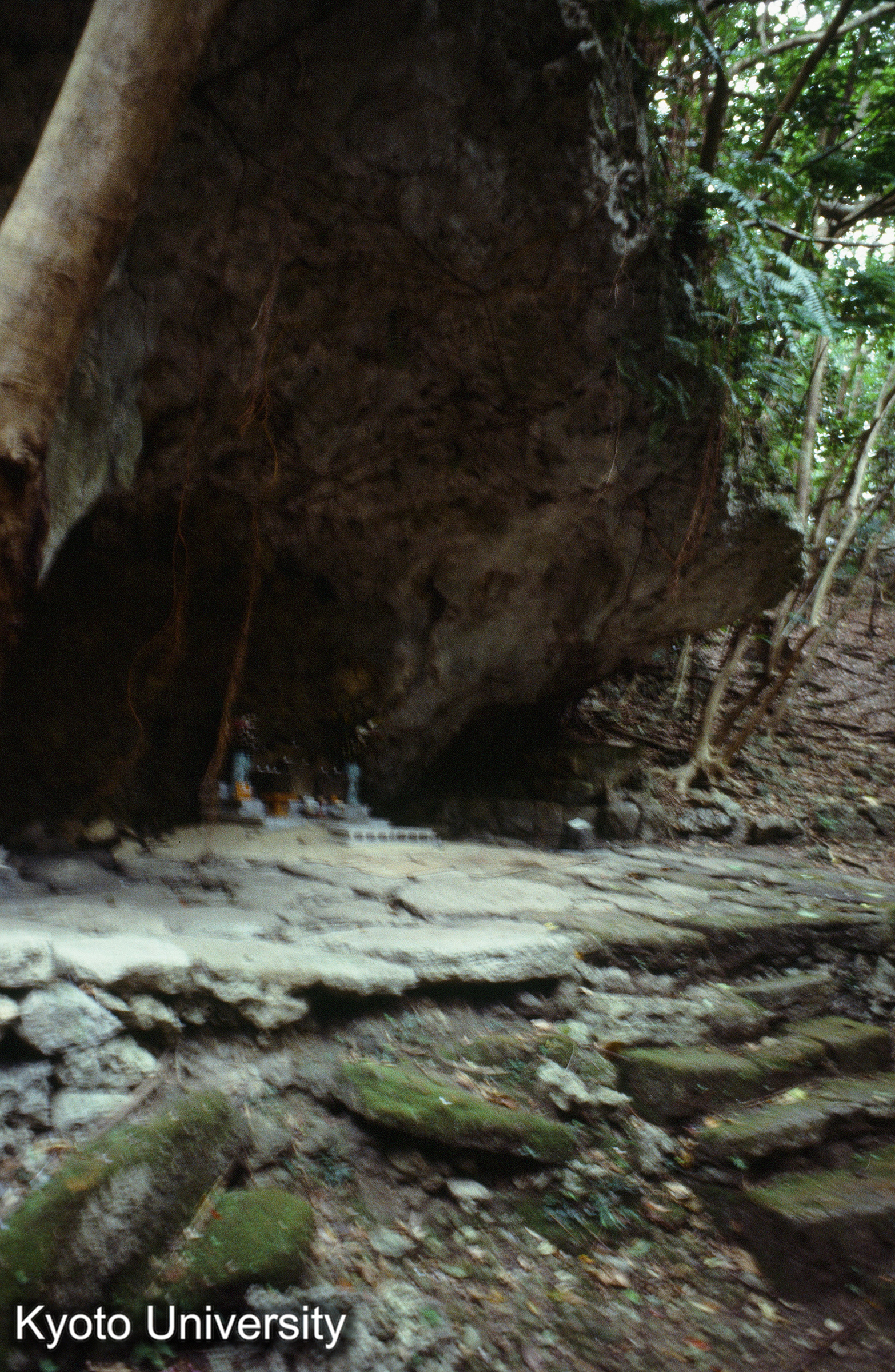 ［スライド］ (1)