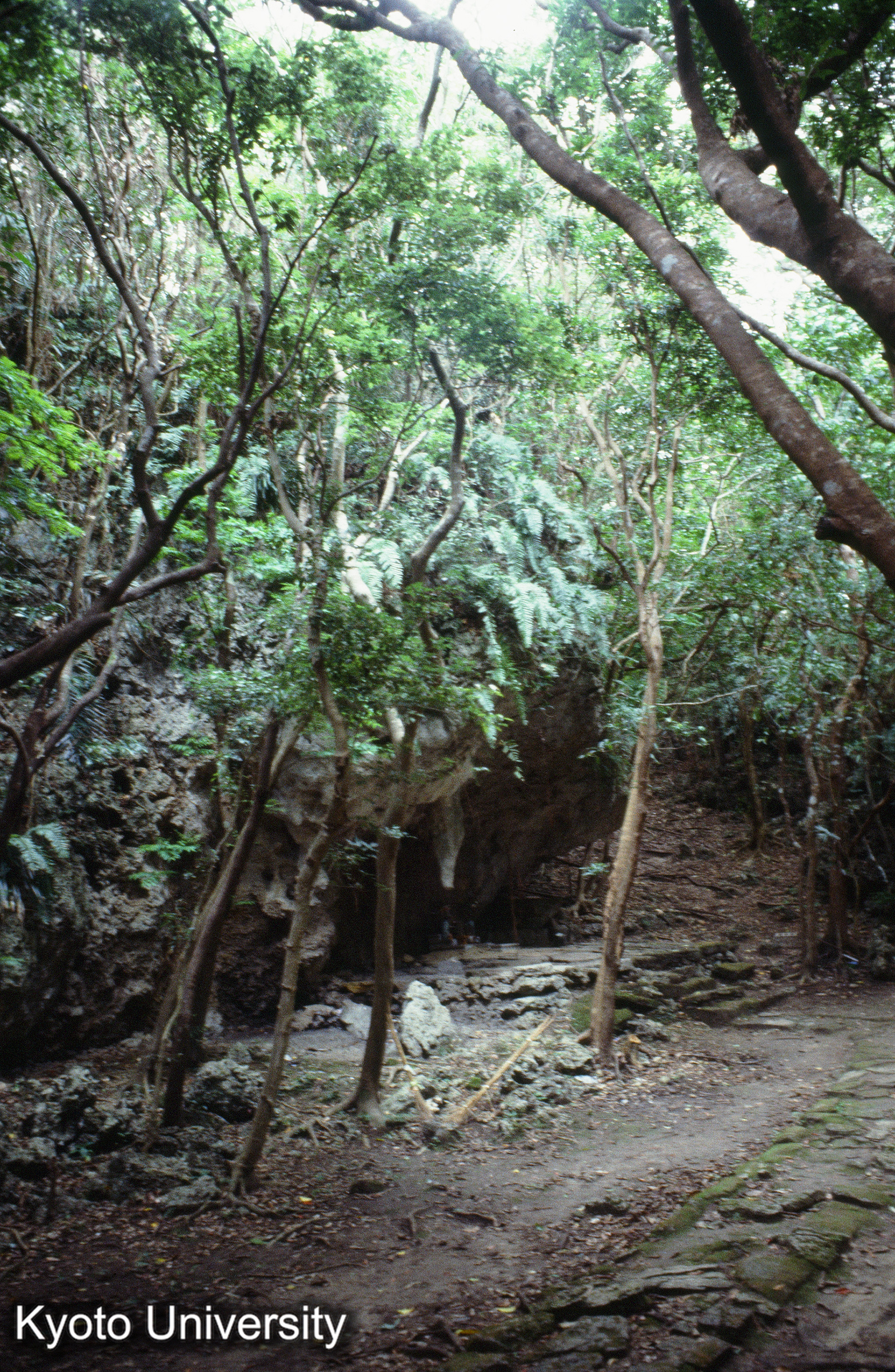 ［スライド］ (1)