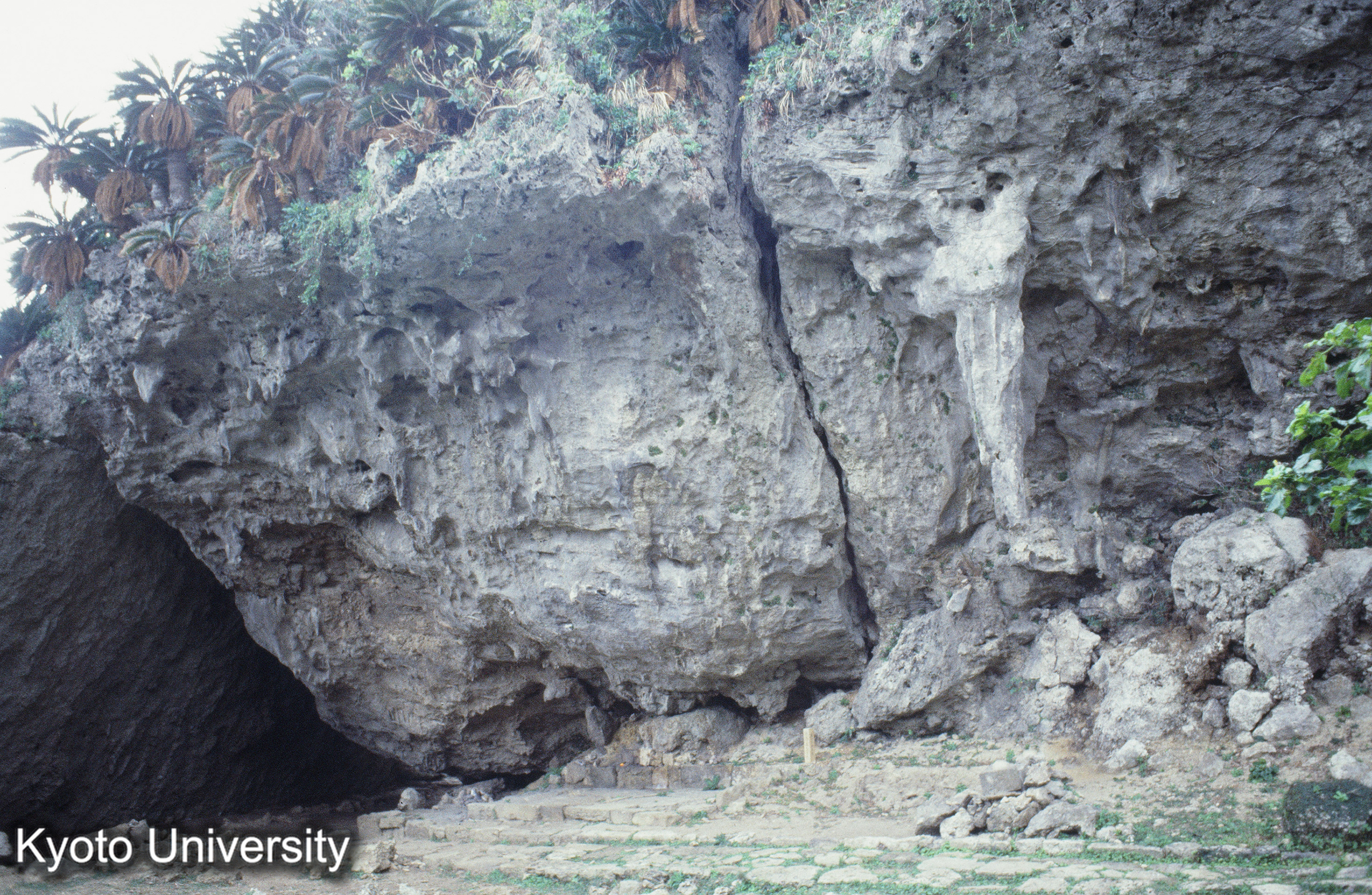 ［スライド］ (1)