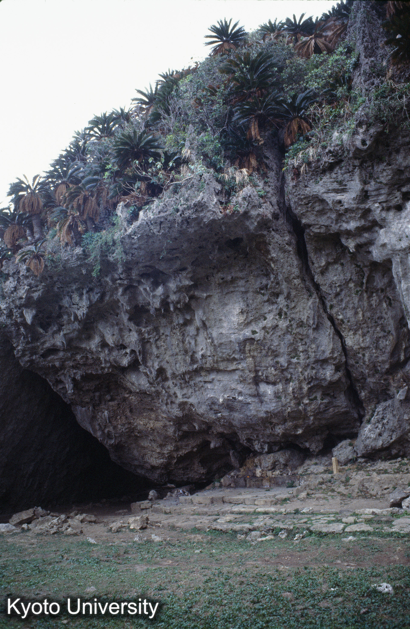 ［スライド］ (1)