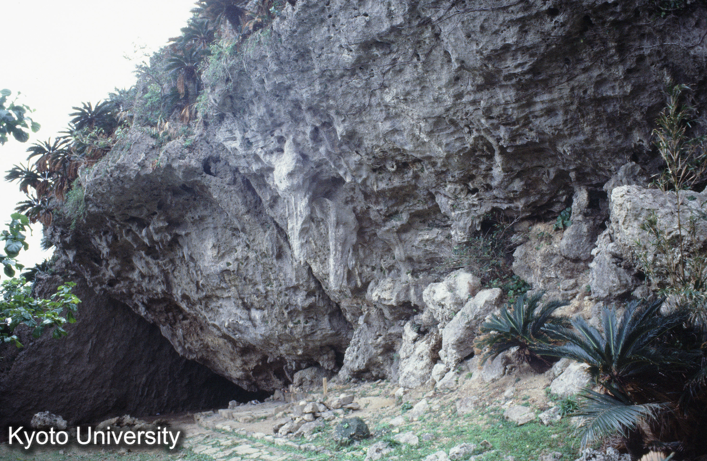 ［スライド］ (1)