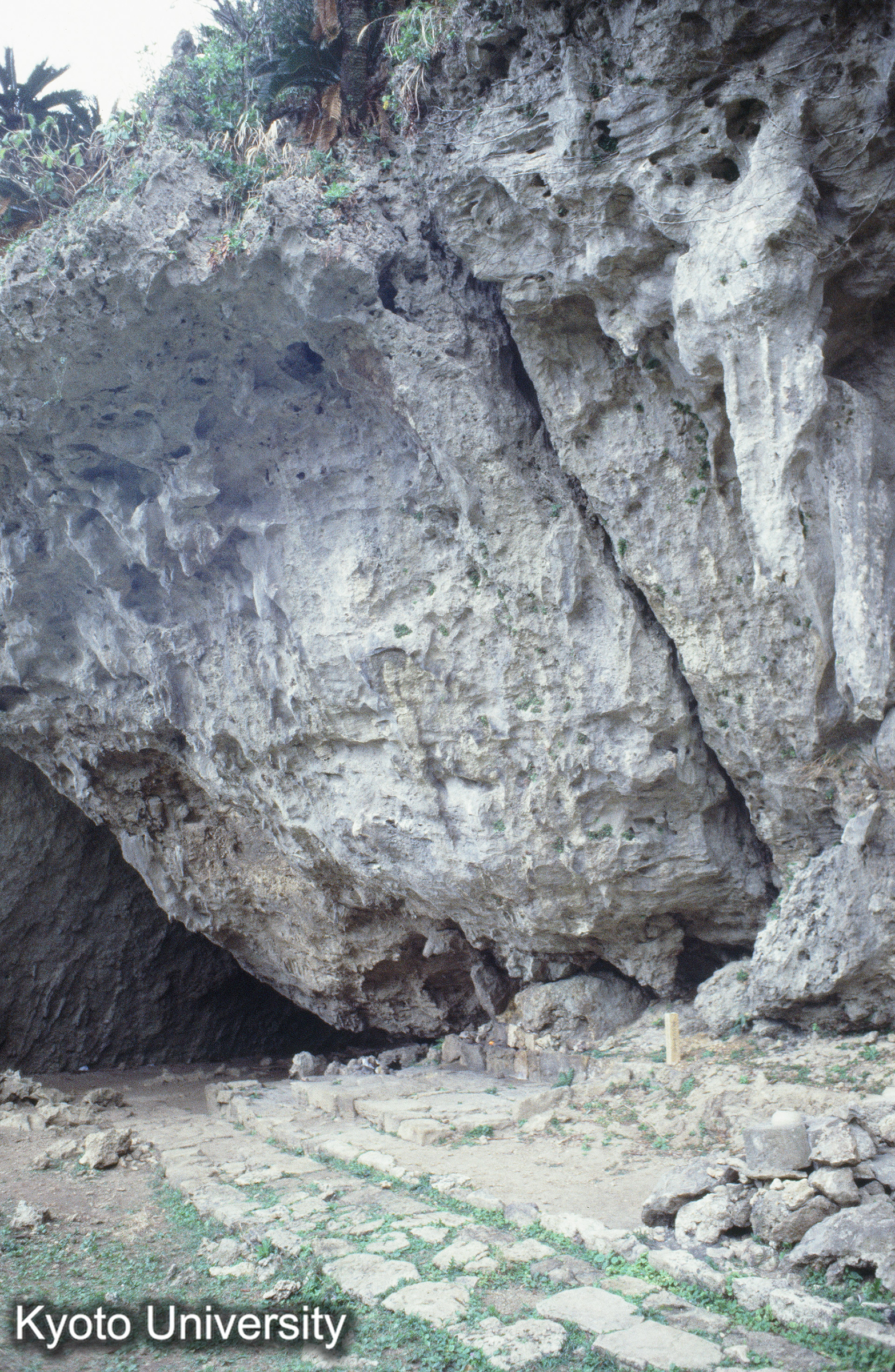 ［スライド］ (1)