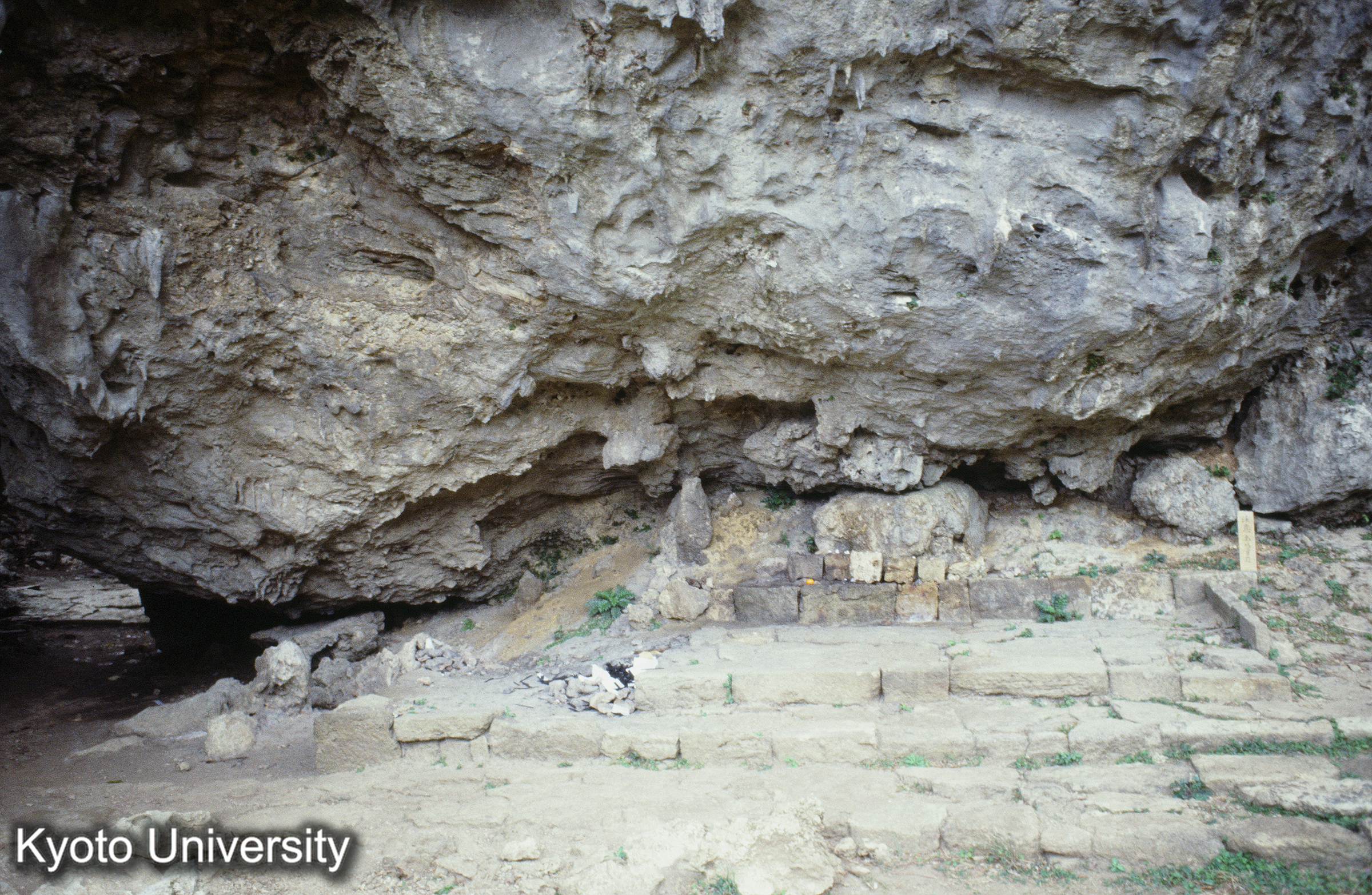 ［スライド］ (1)